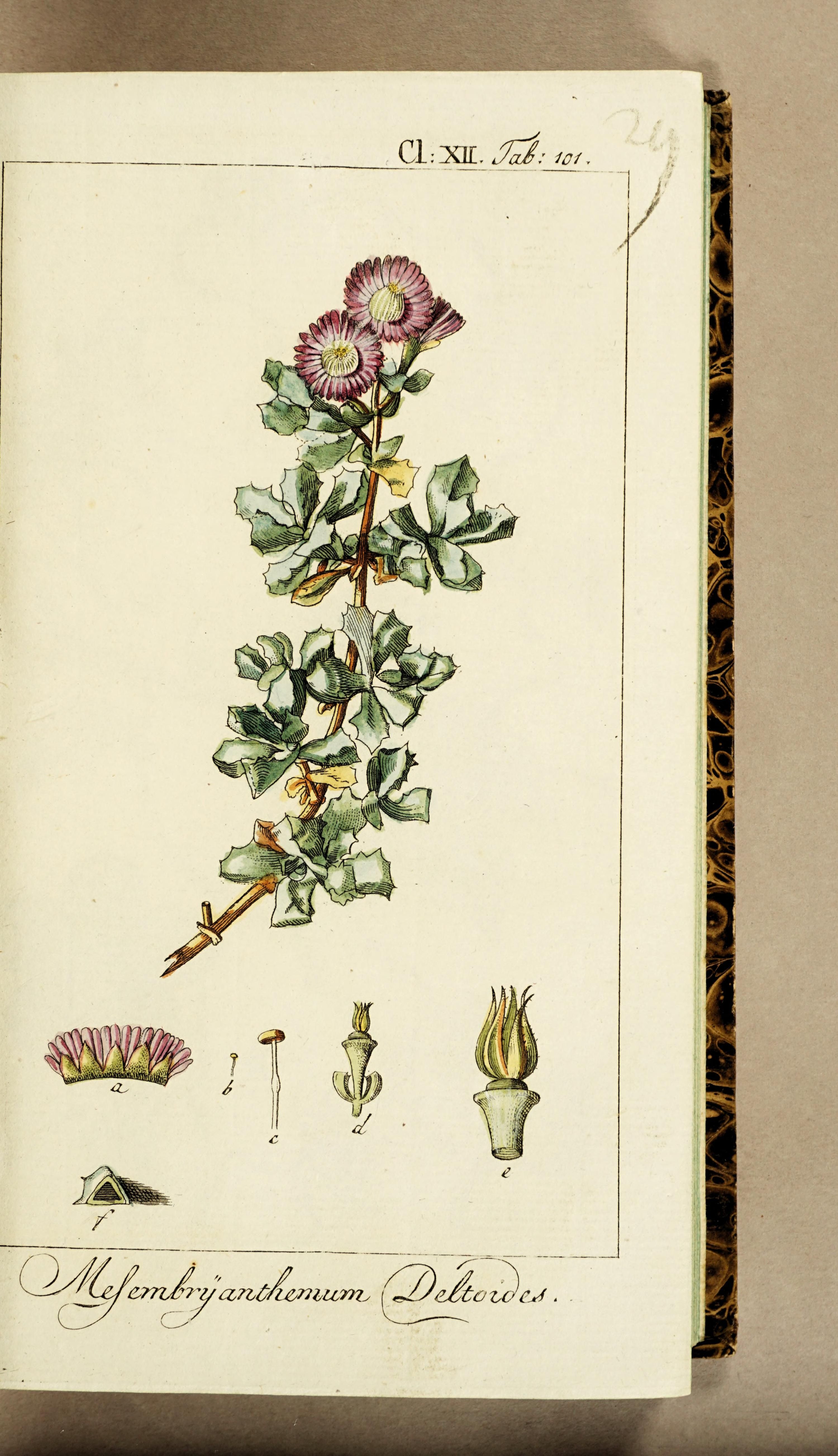 no full size  illustration available (3a)