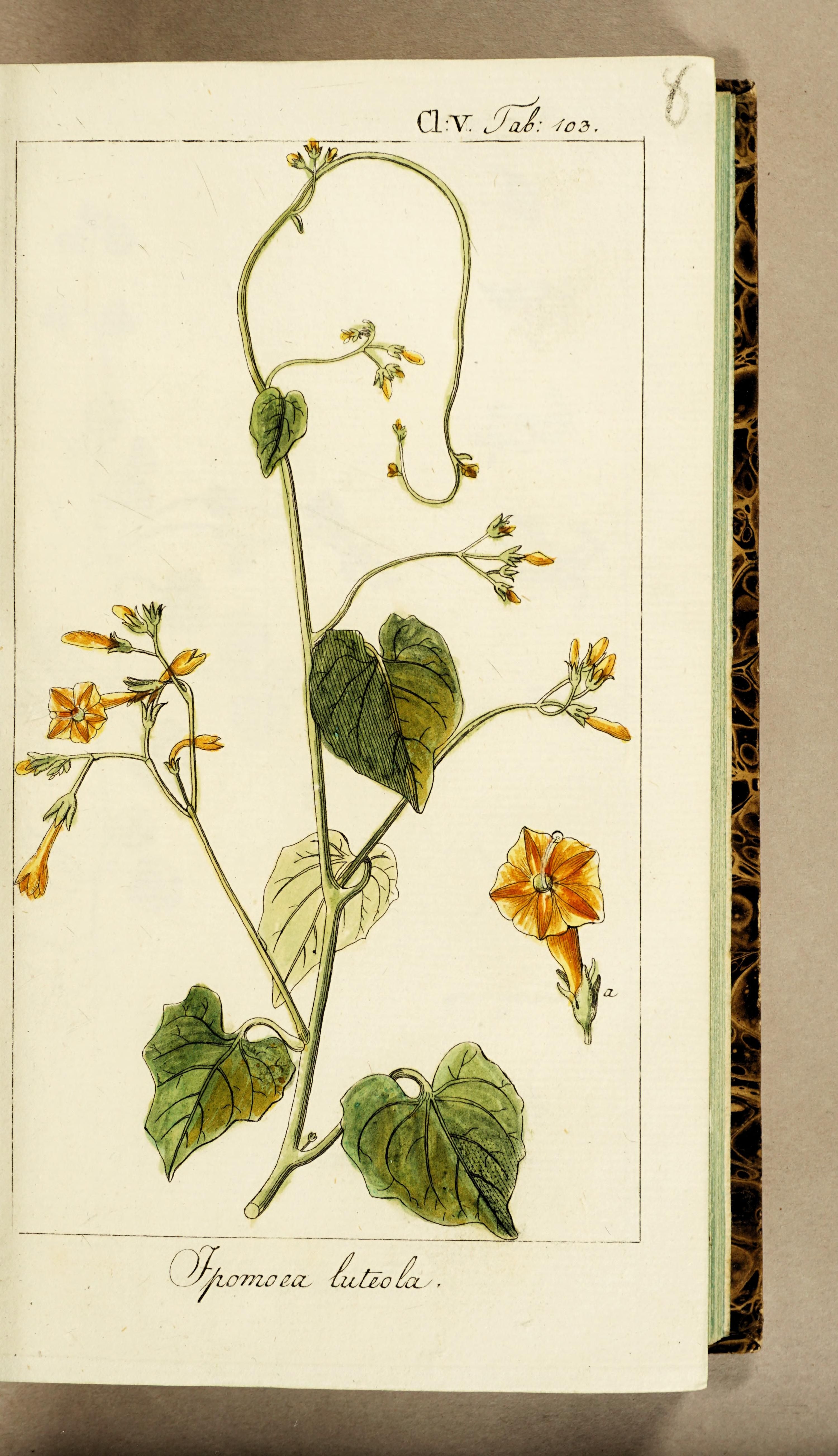 no full size  illustration available (3a)