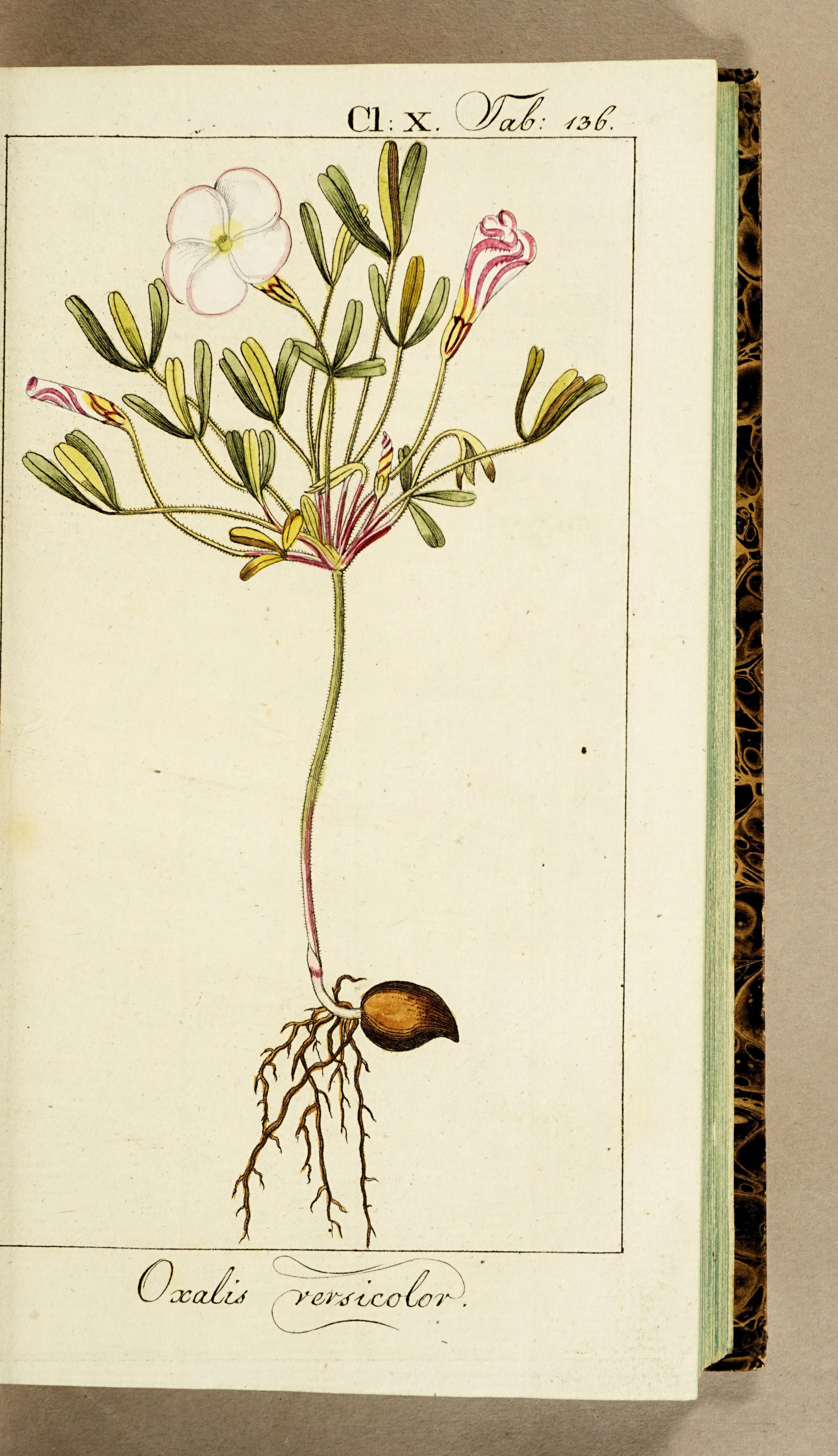 no full size  illustration available (3a)