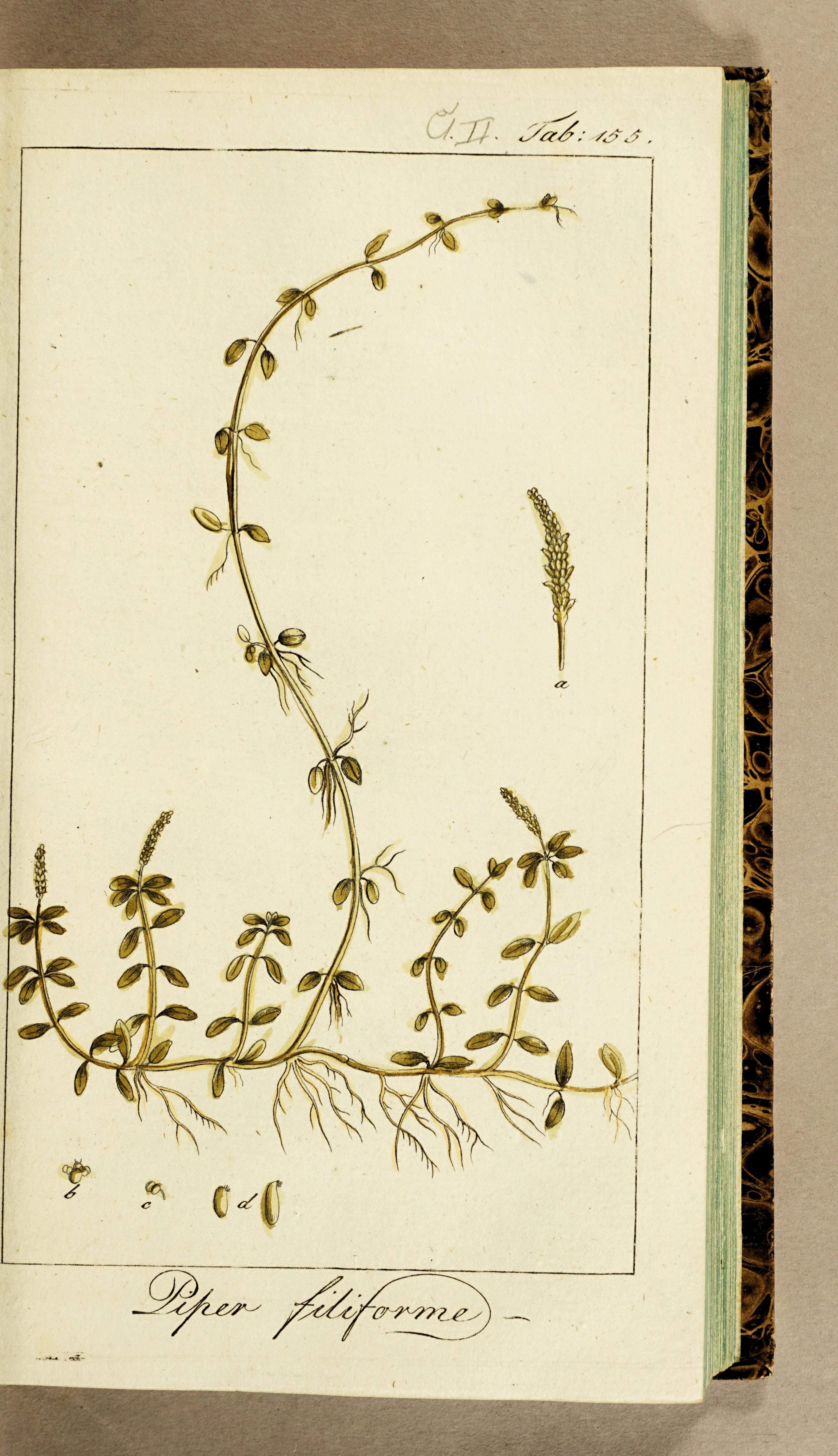 no full size  illustration available (3a)