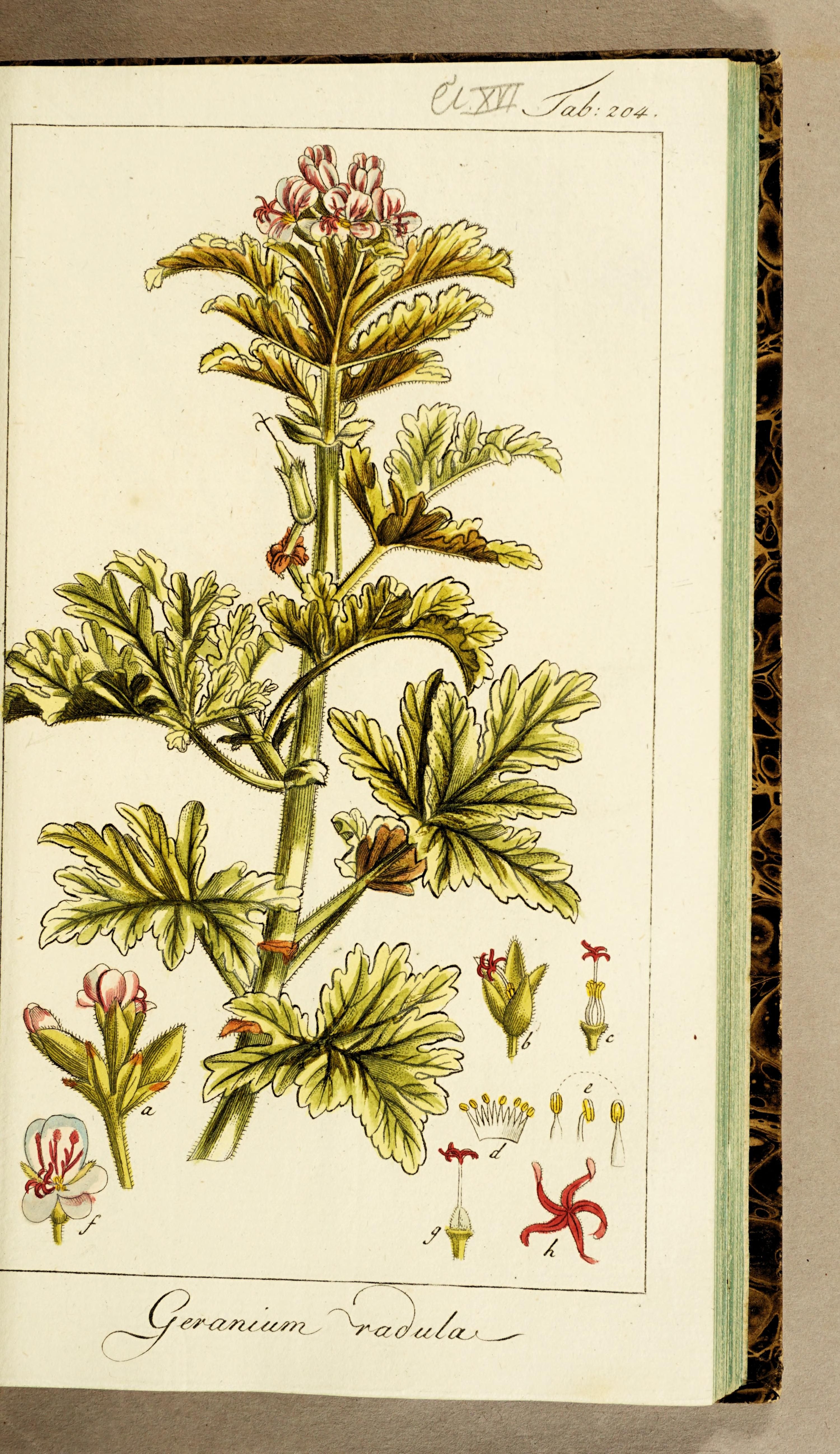 no full size  illustration available (3a)