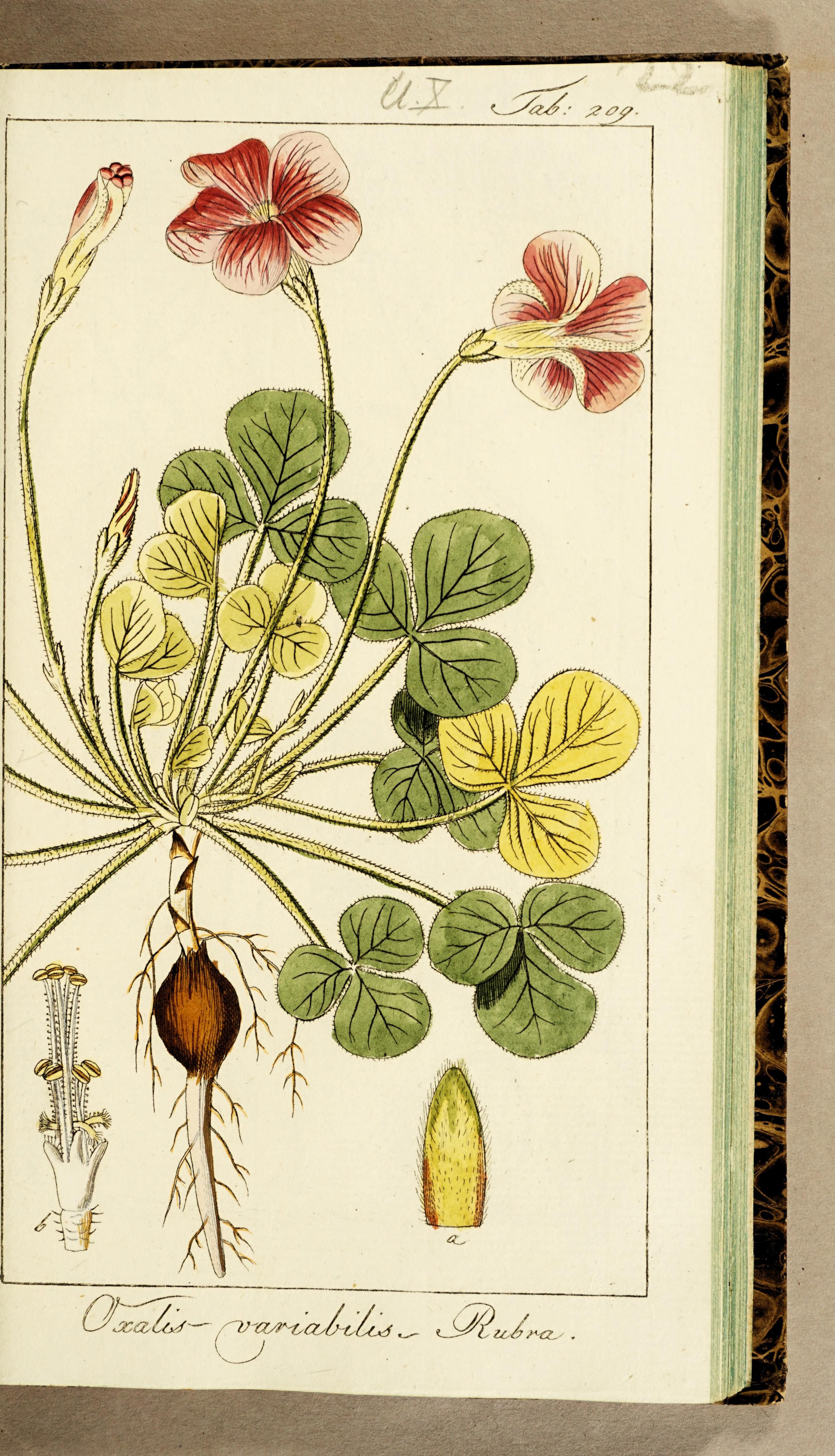 no full size  illustration available (3a)