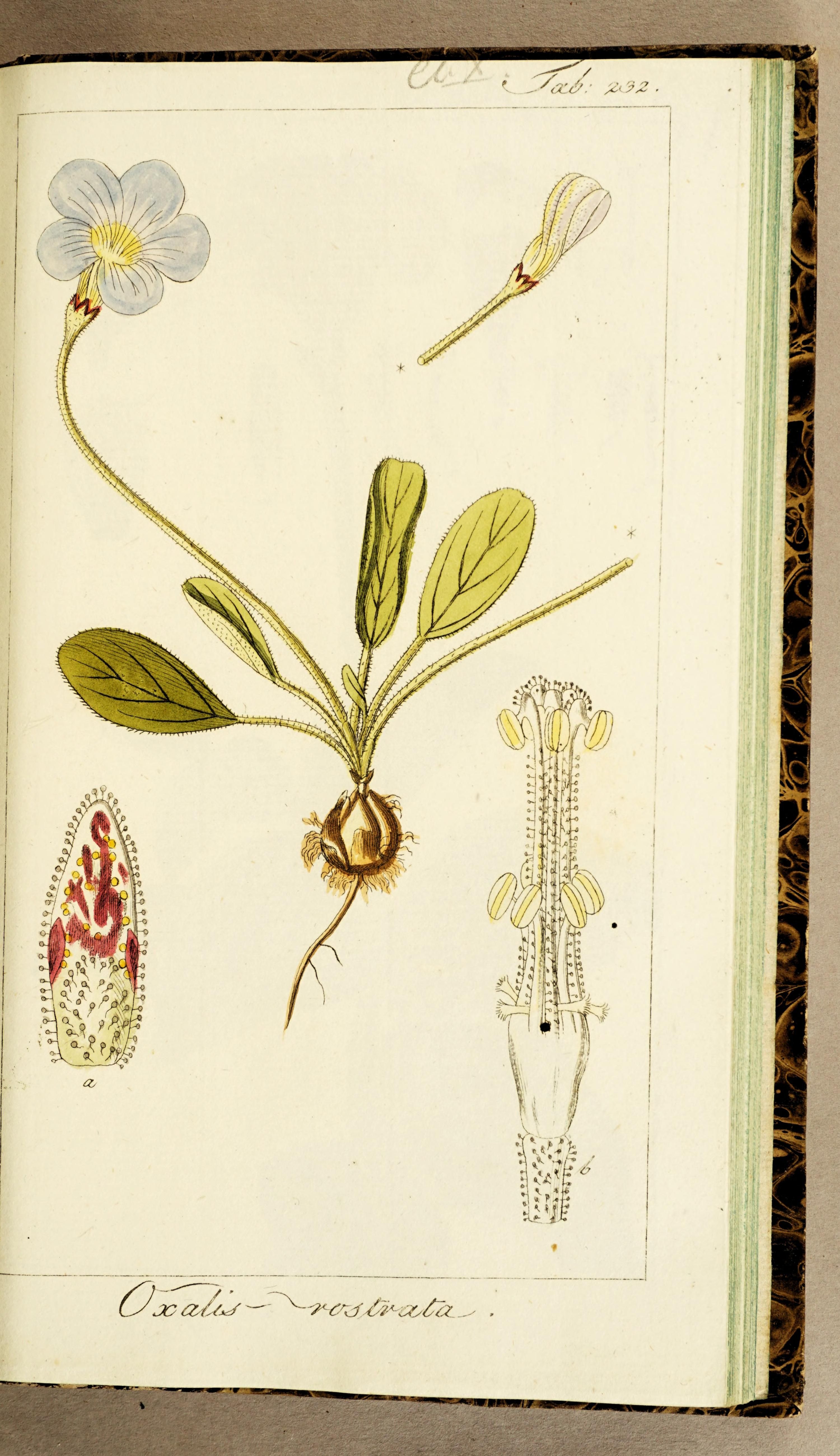 no full size  illustration available (3a)