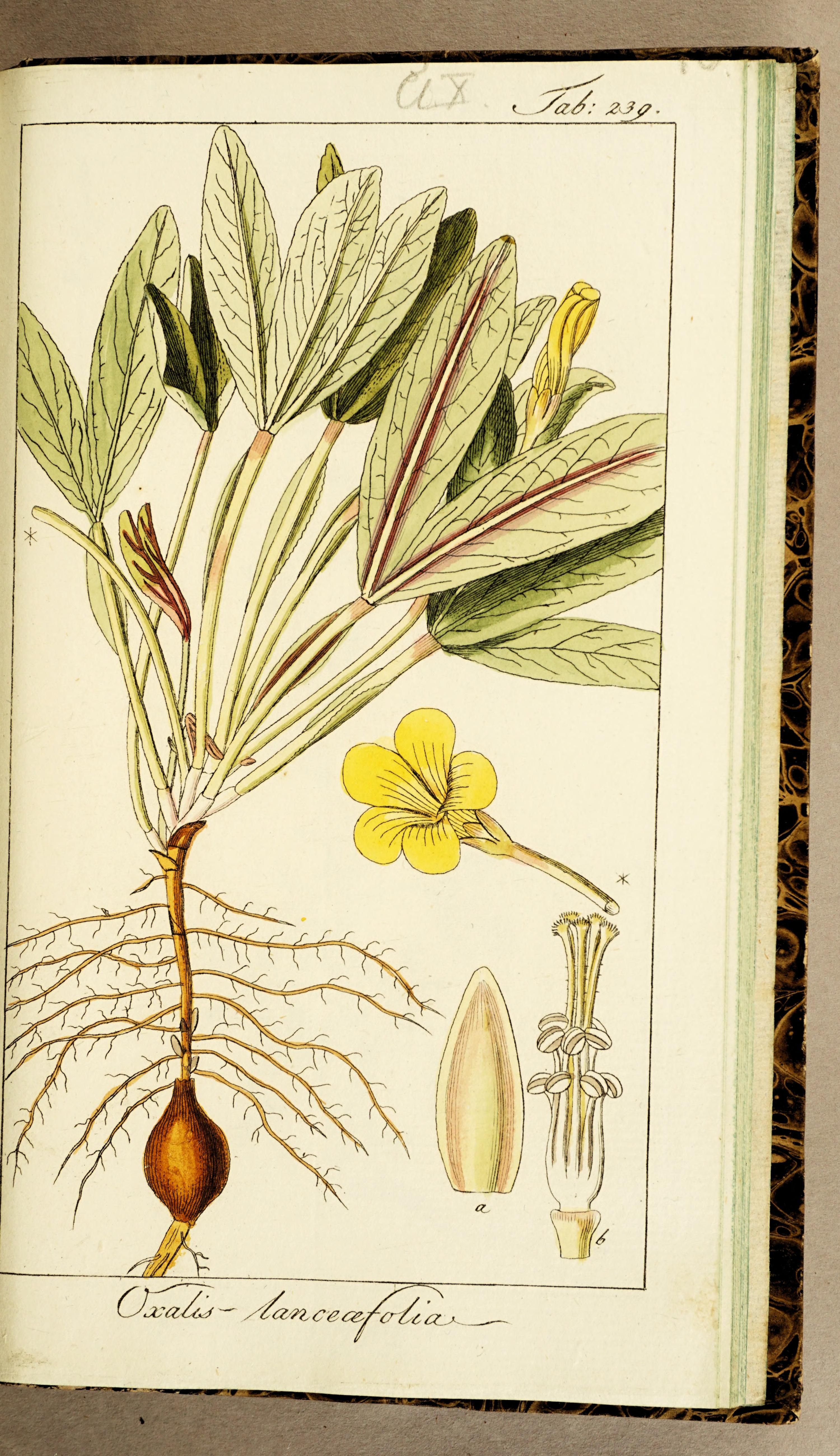 no full size  illustration available (3a)