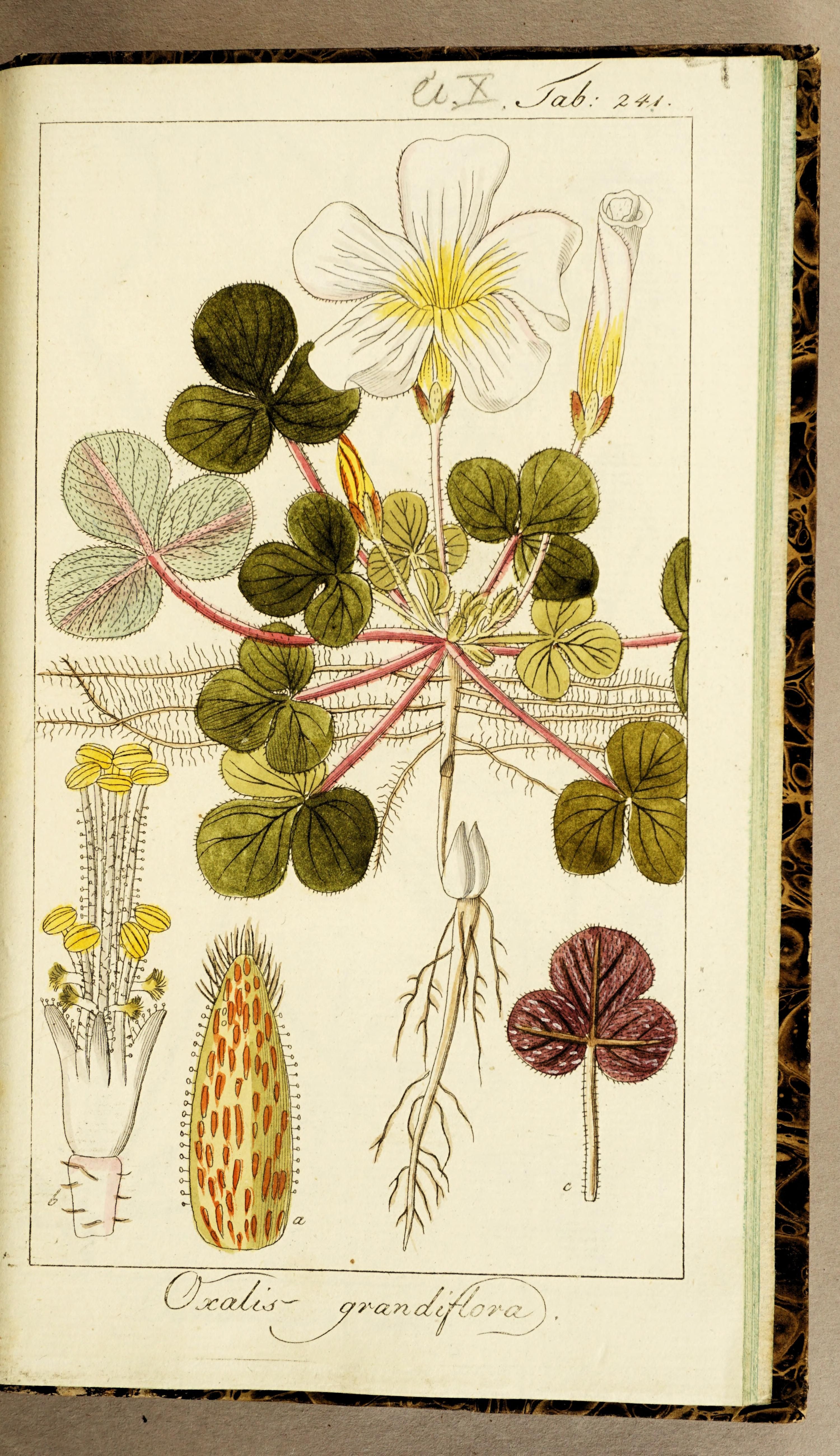 no full size  illustration available (3a)