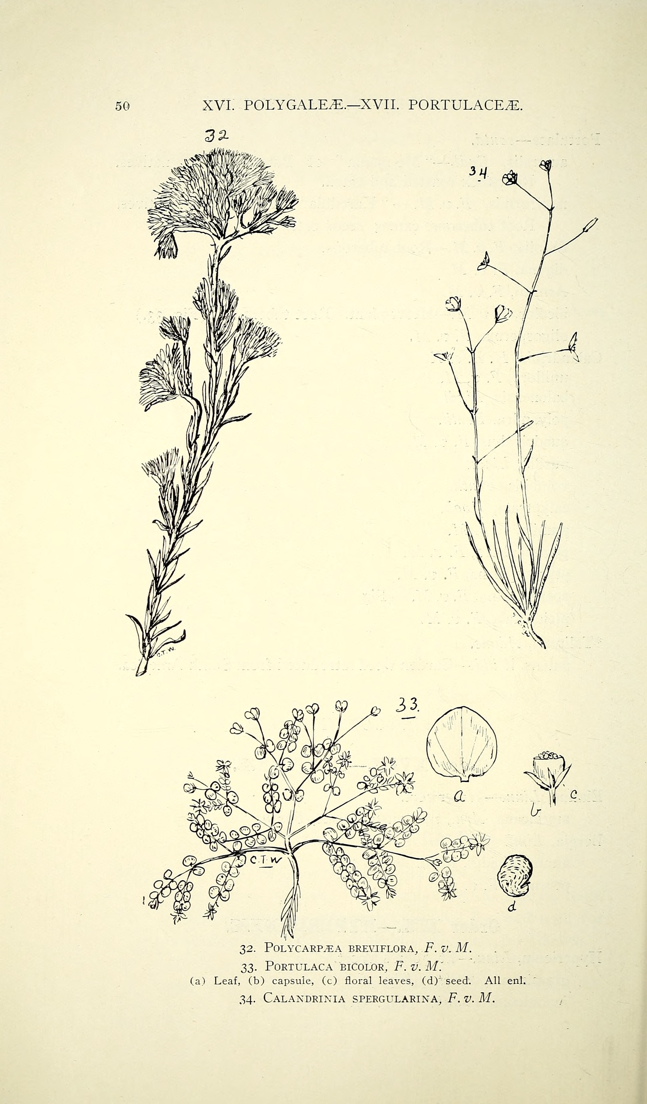 no full size  illustration available (3a)