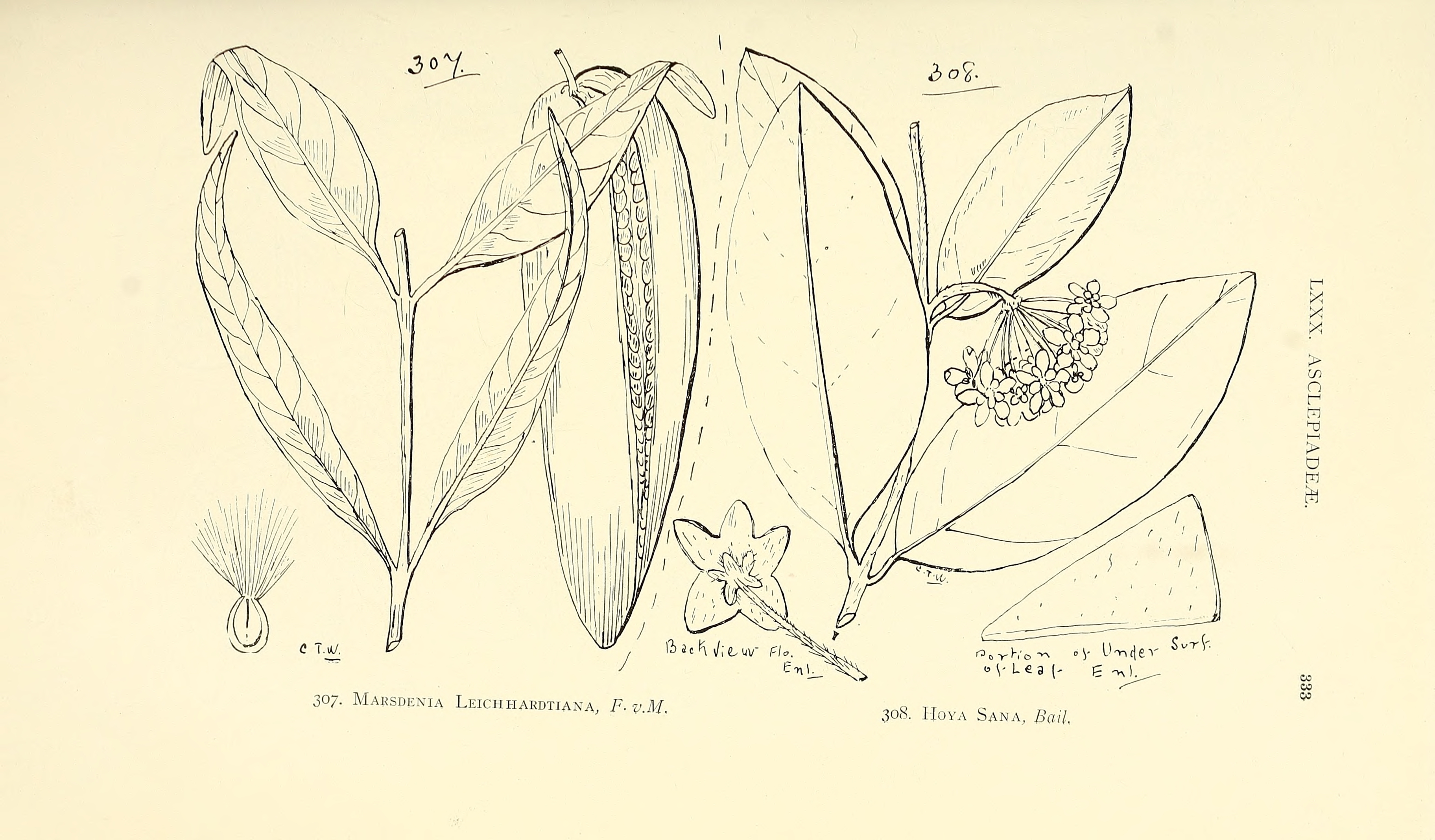 no full size  illustration available (3a)