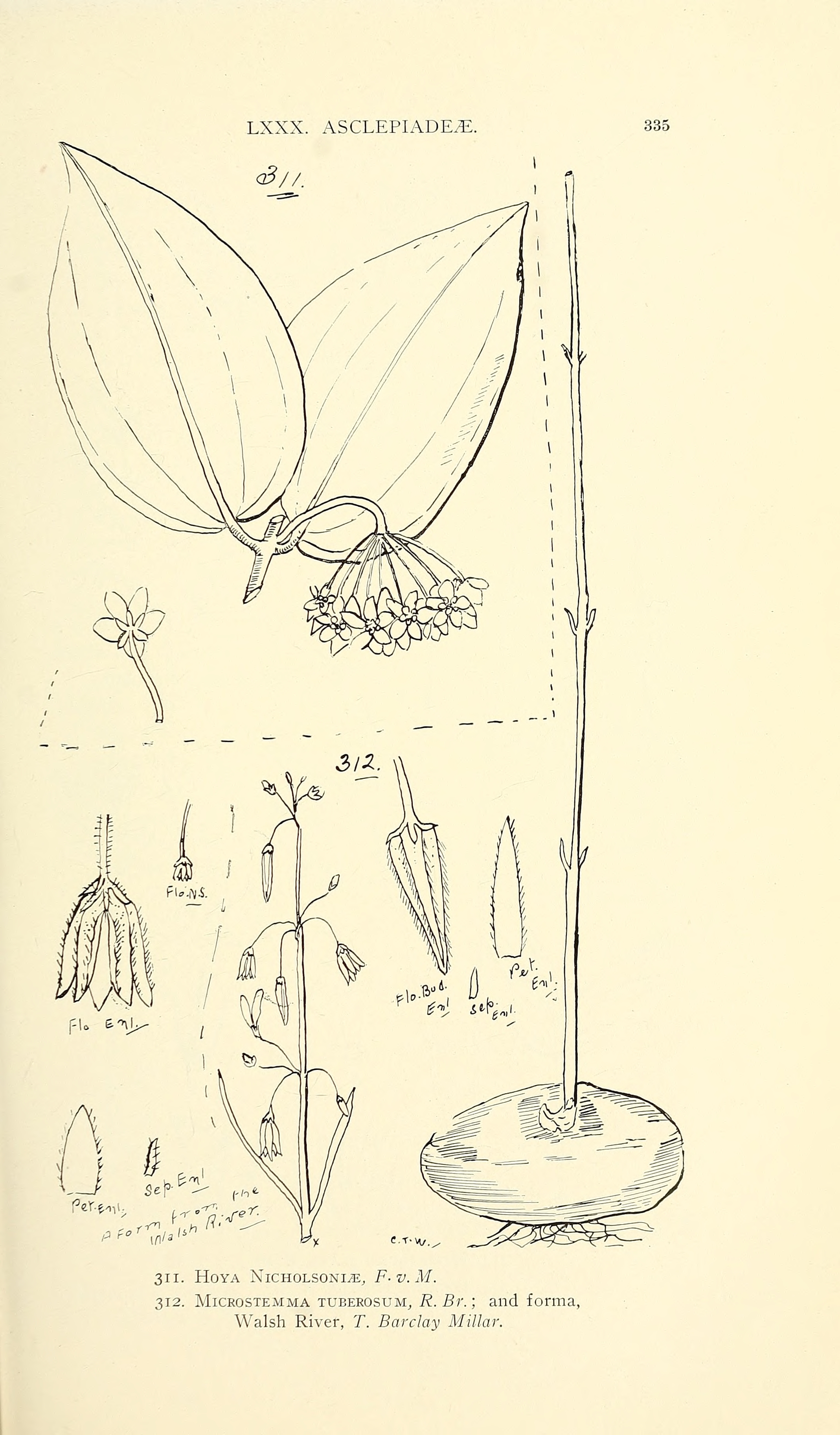 no full size  illustration available (3a)