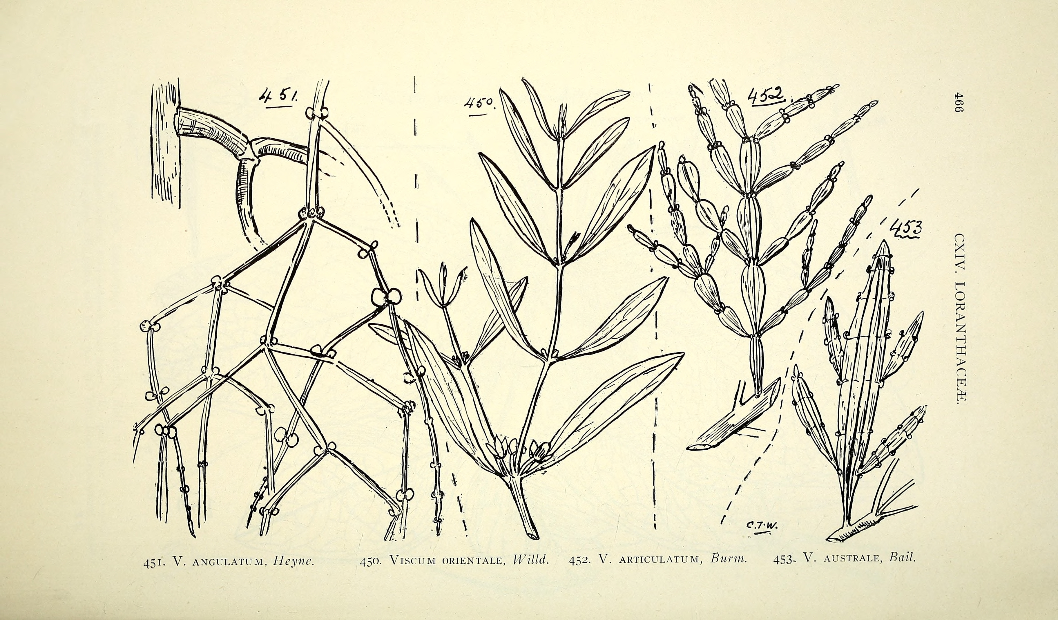 no full size  illustration available (3a)