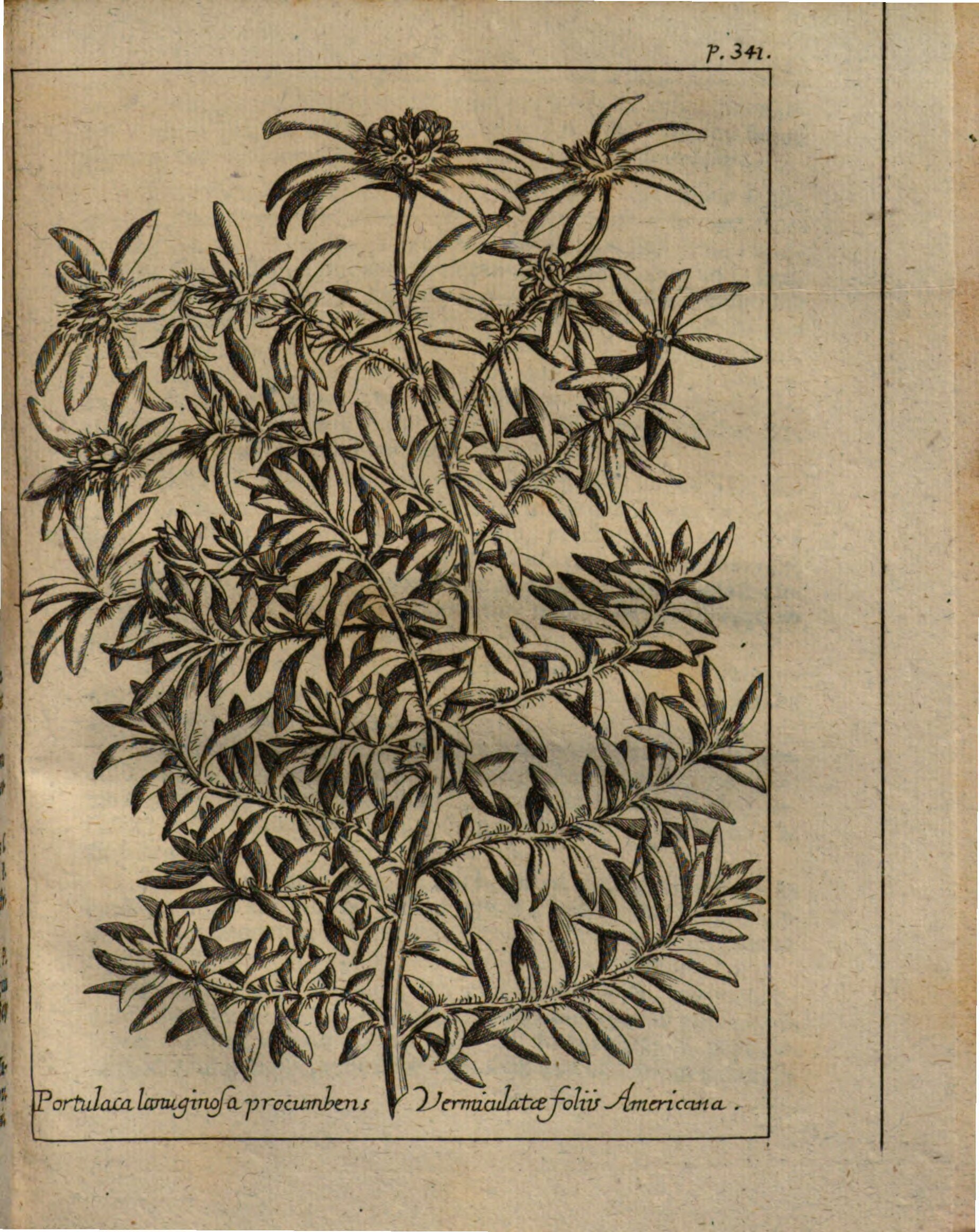 no full size  illustration available (3a)