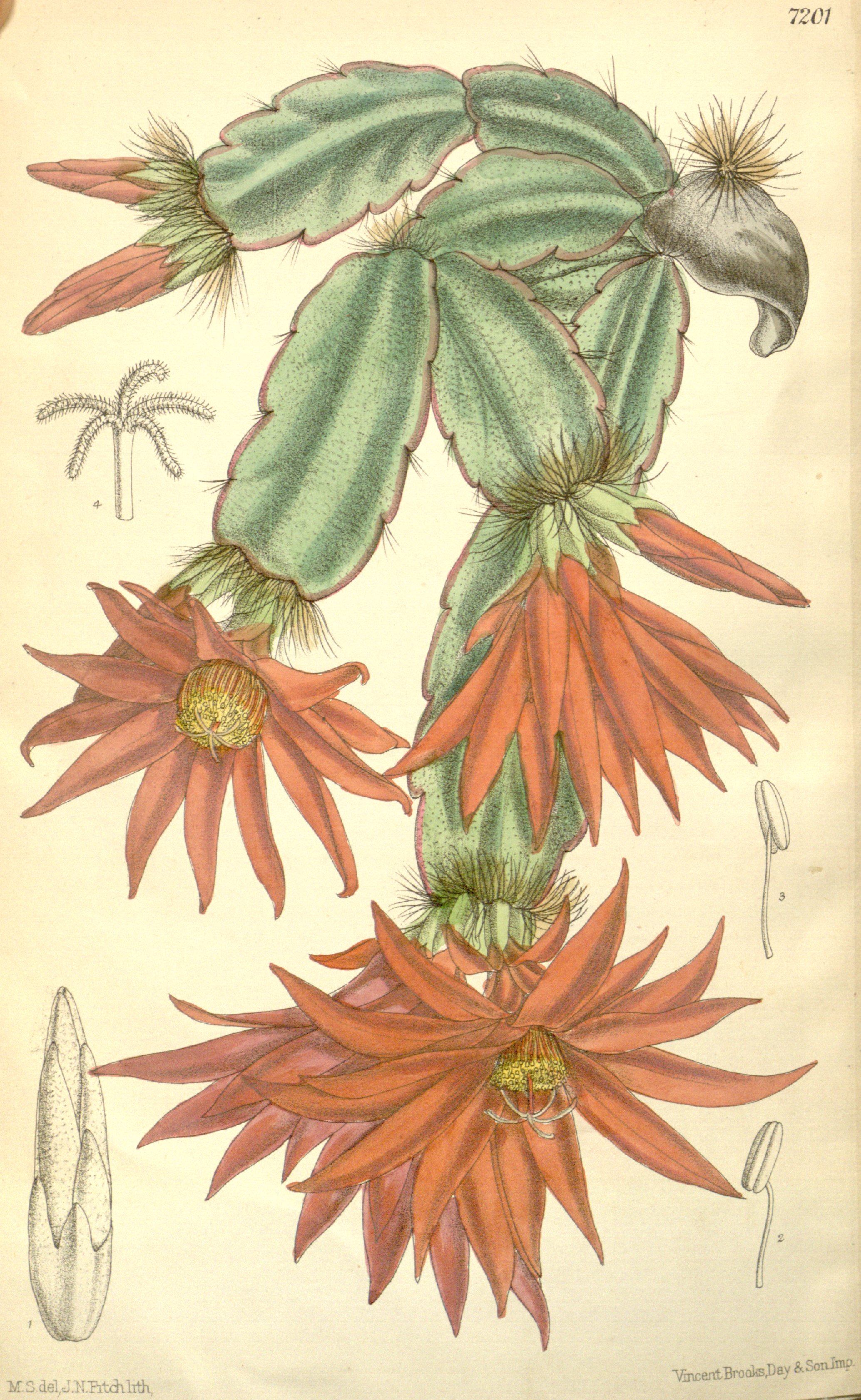 no full size  illustration available (3a)