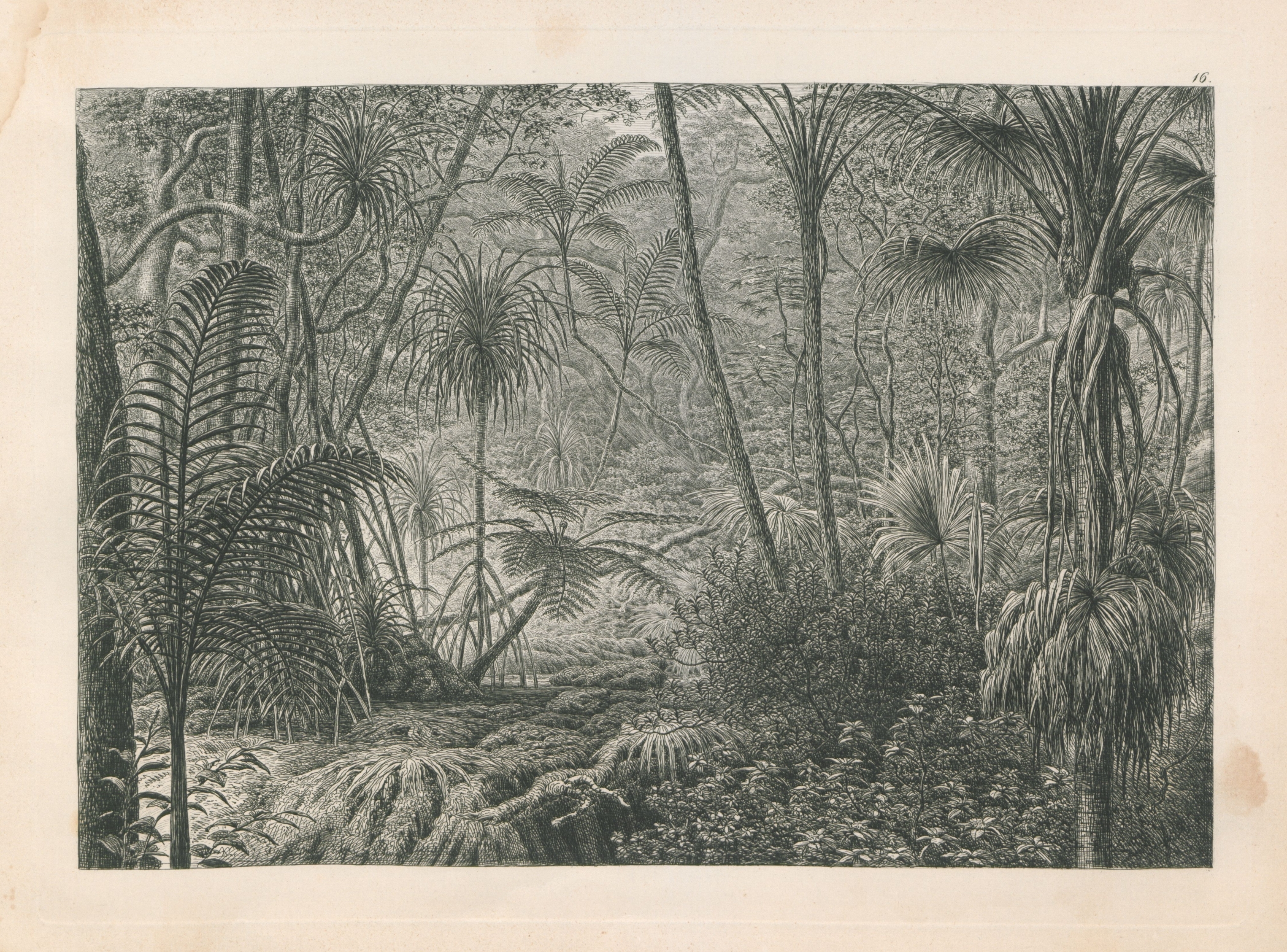 no full size  illustration available (3a)