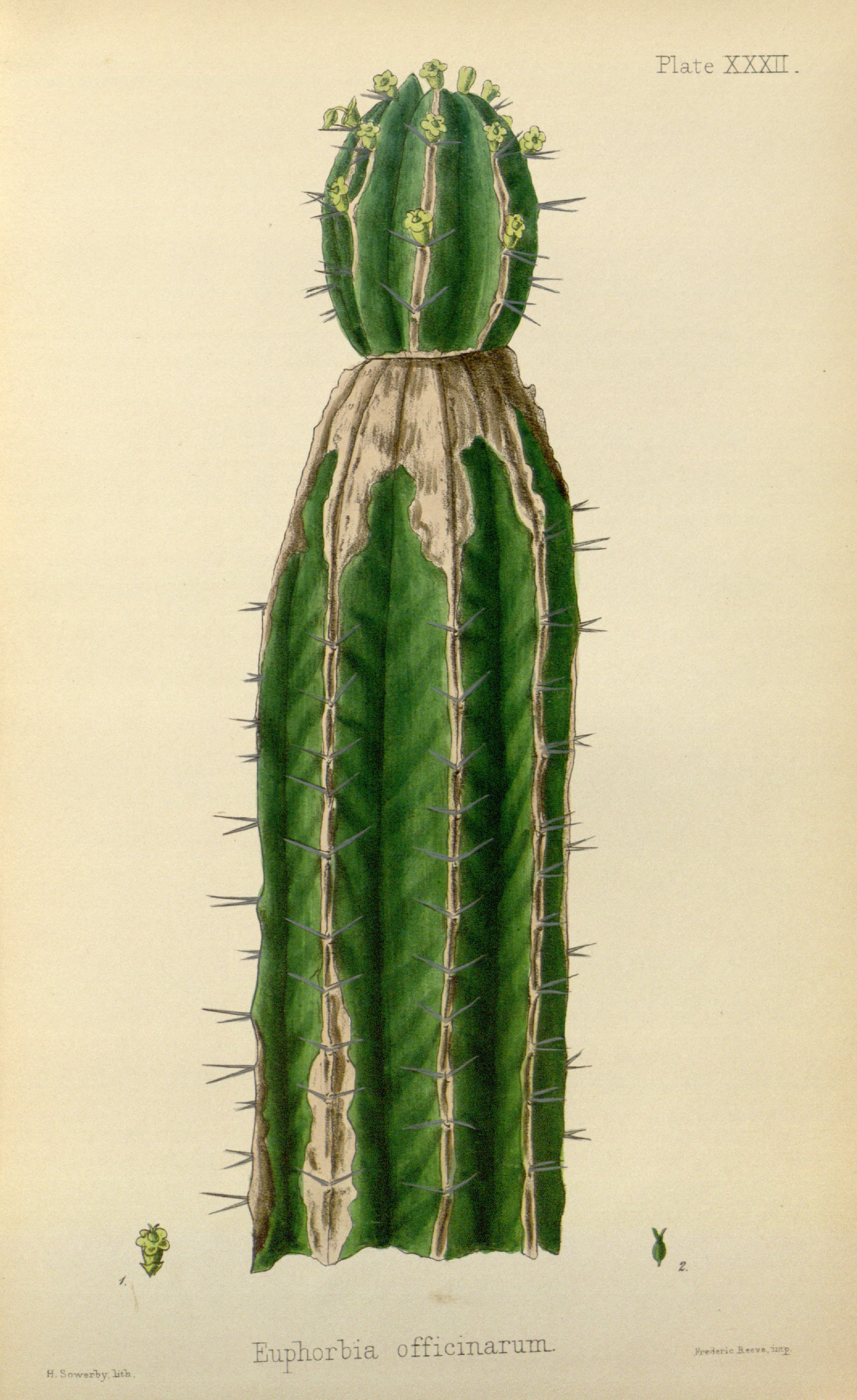 no full size  illustration available (3a)