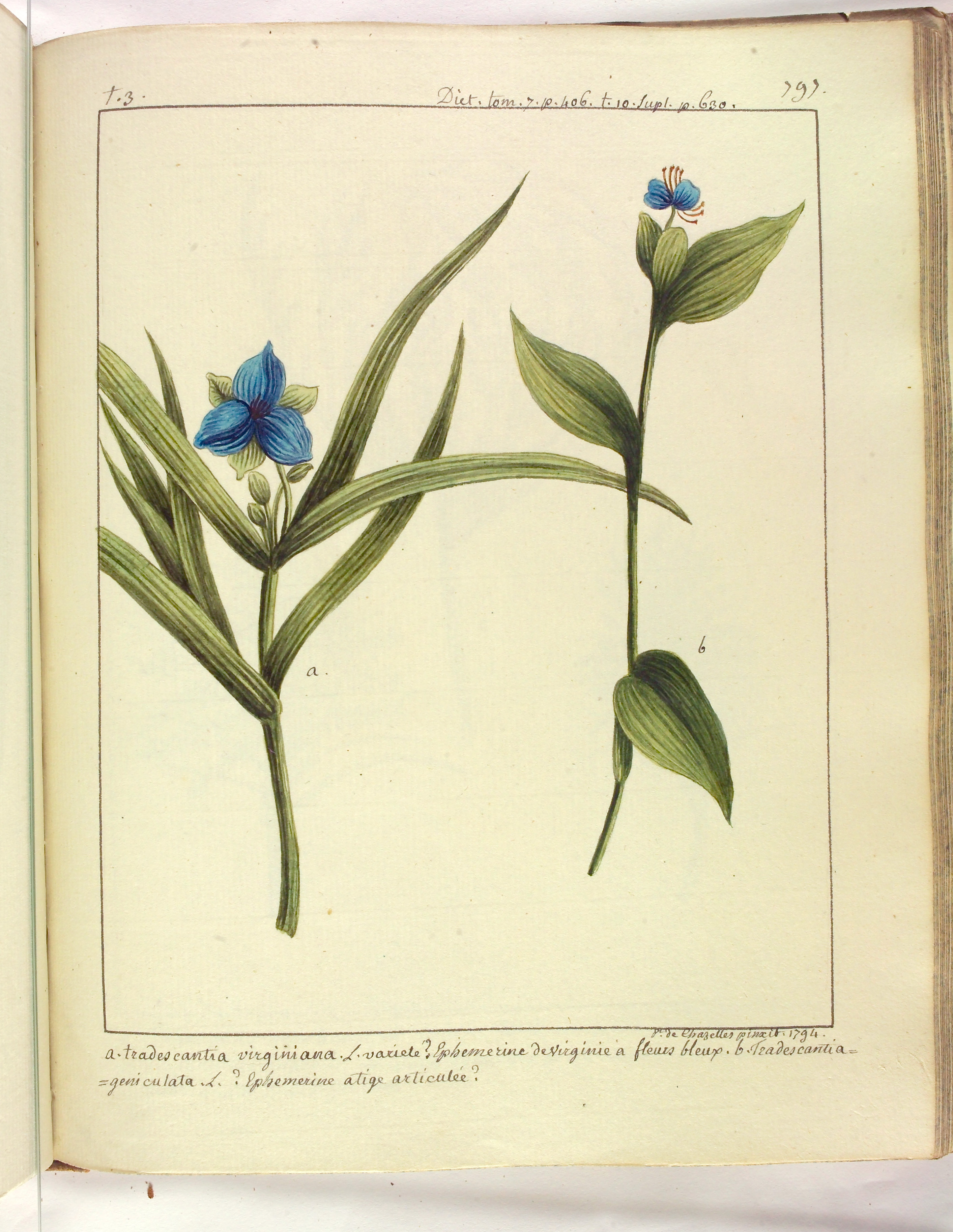 no full size  illustration available (3a)