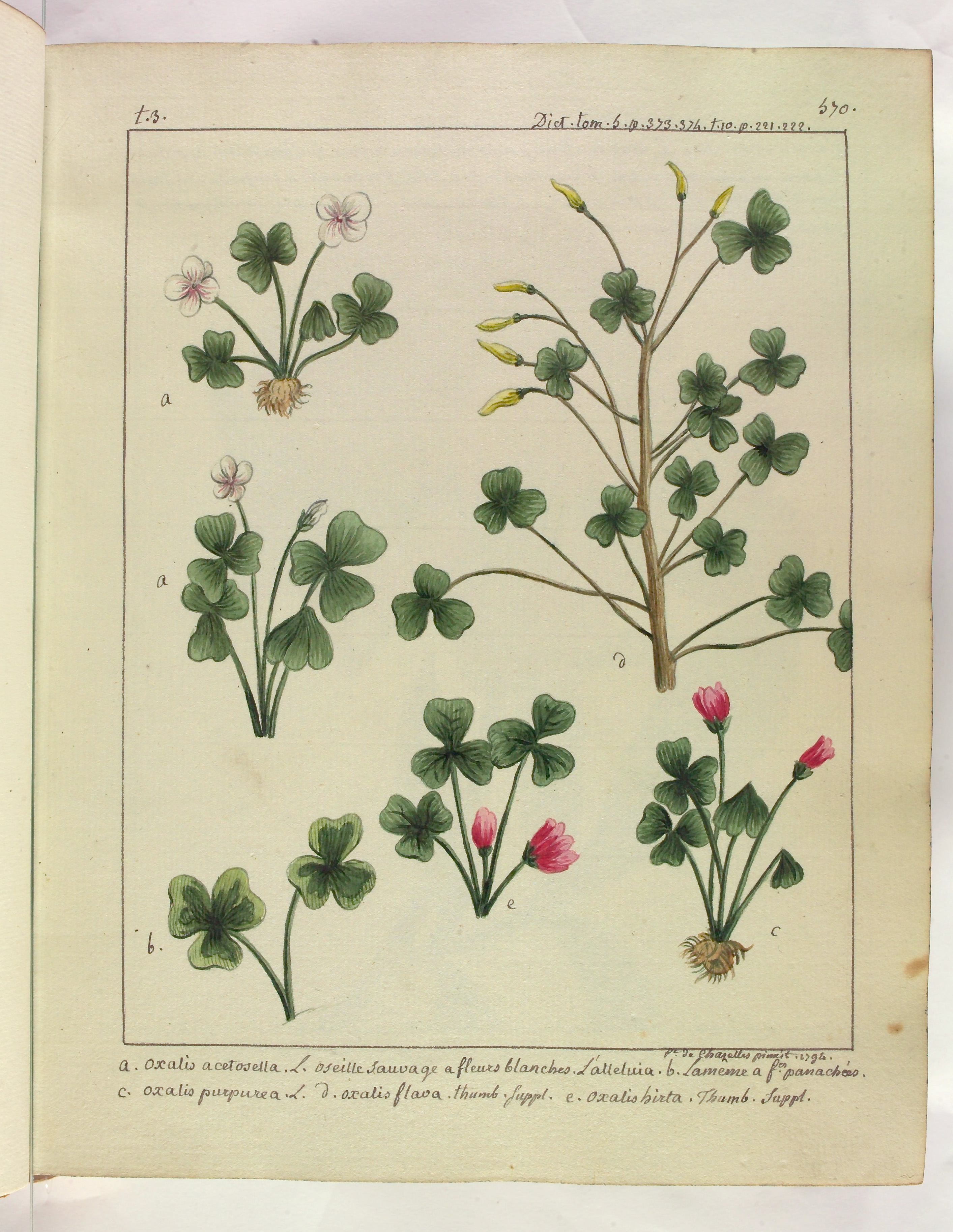 no full size  illustration available (3a)