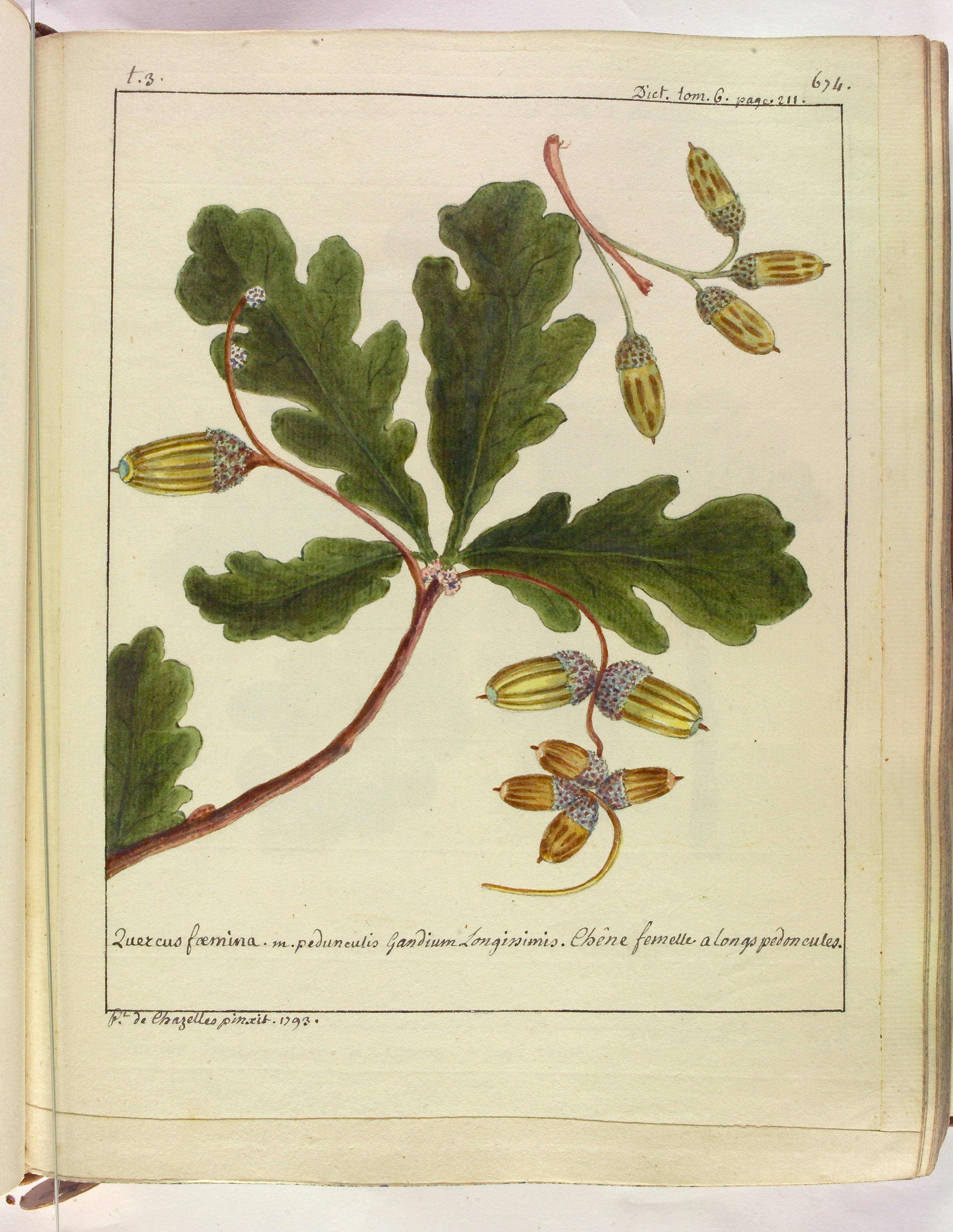 no full size  illustration available (3a)