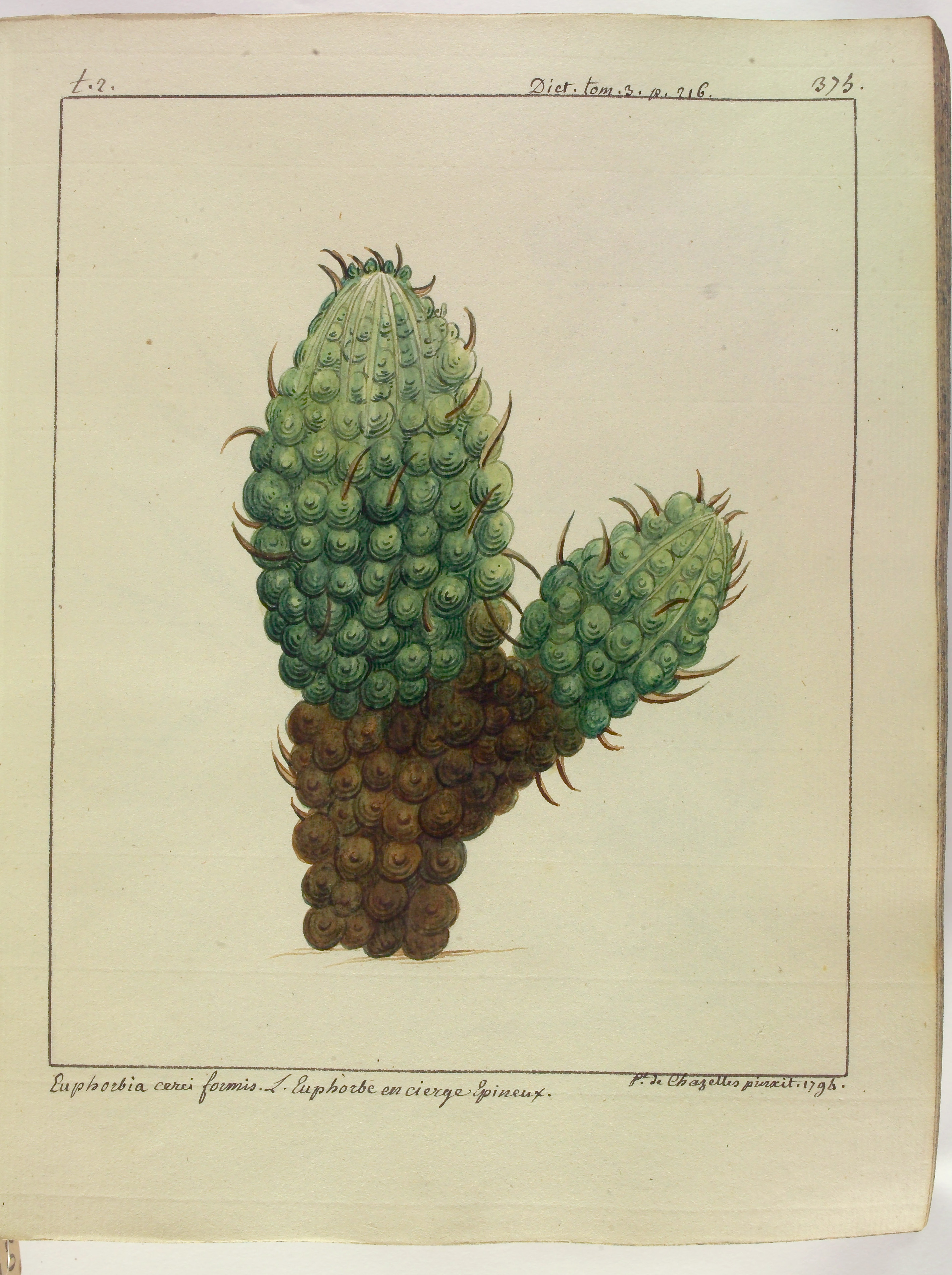 no full size  illustration available (3a)