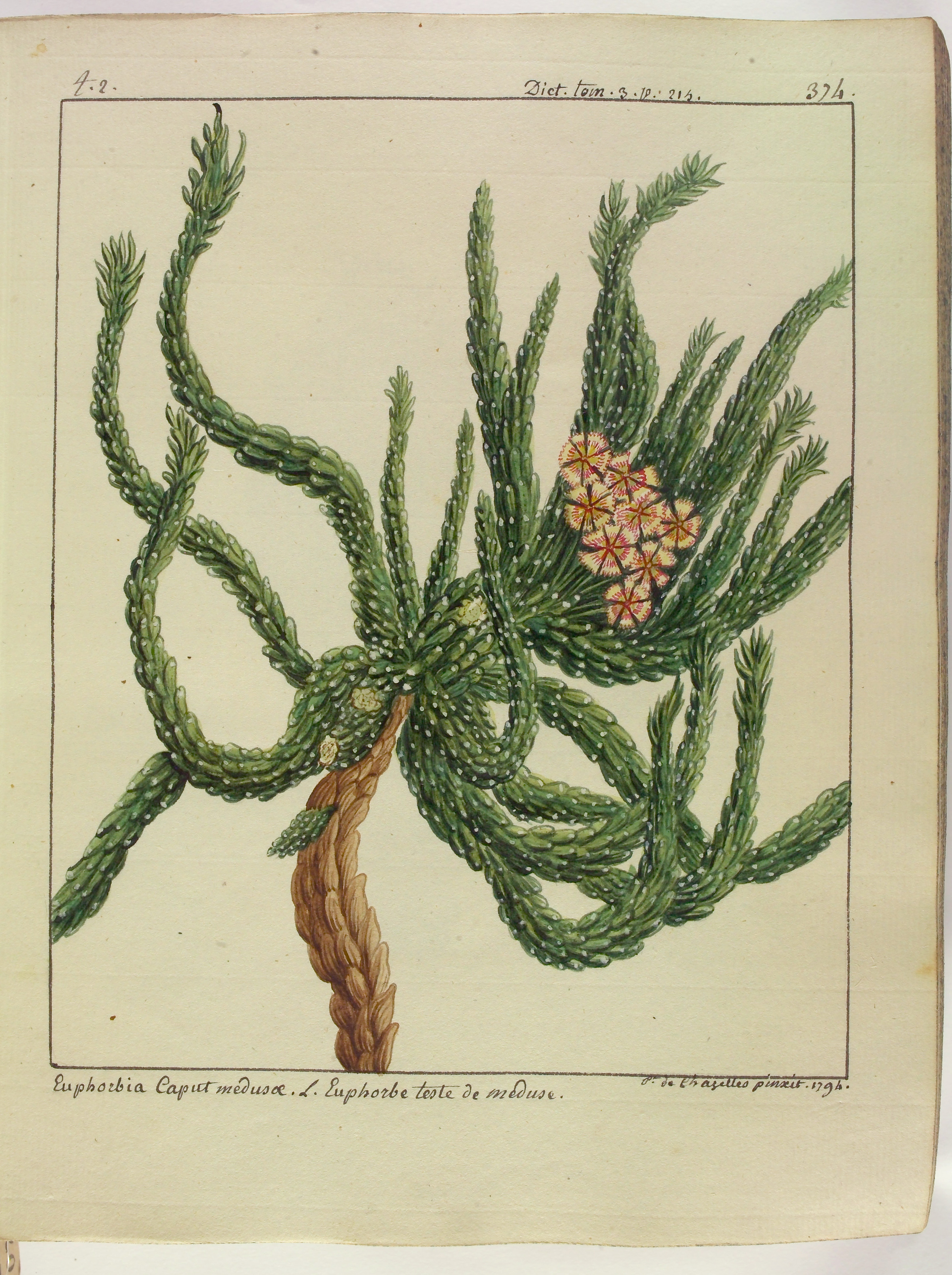 no full size  illustration available (3a)