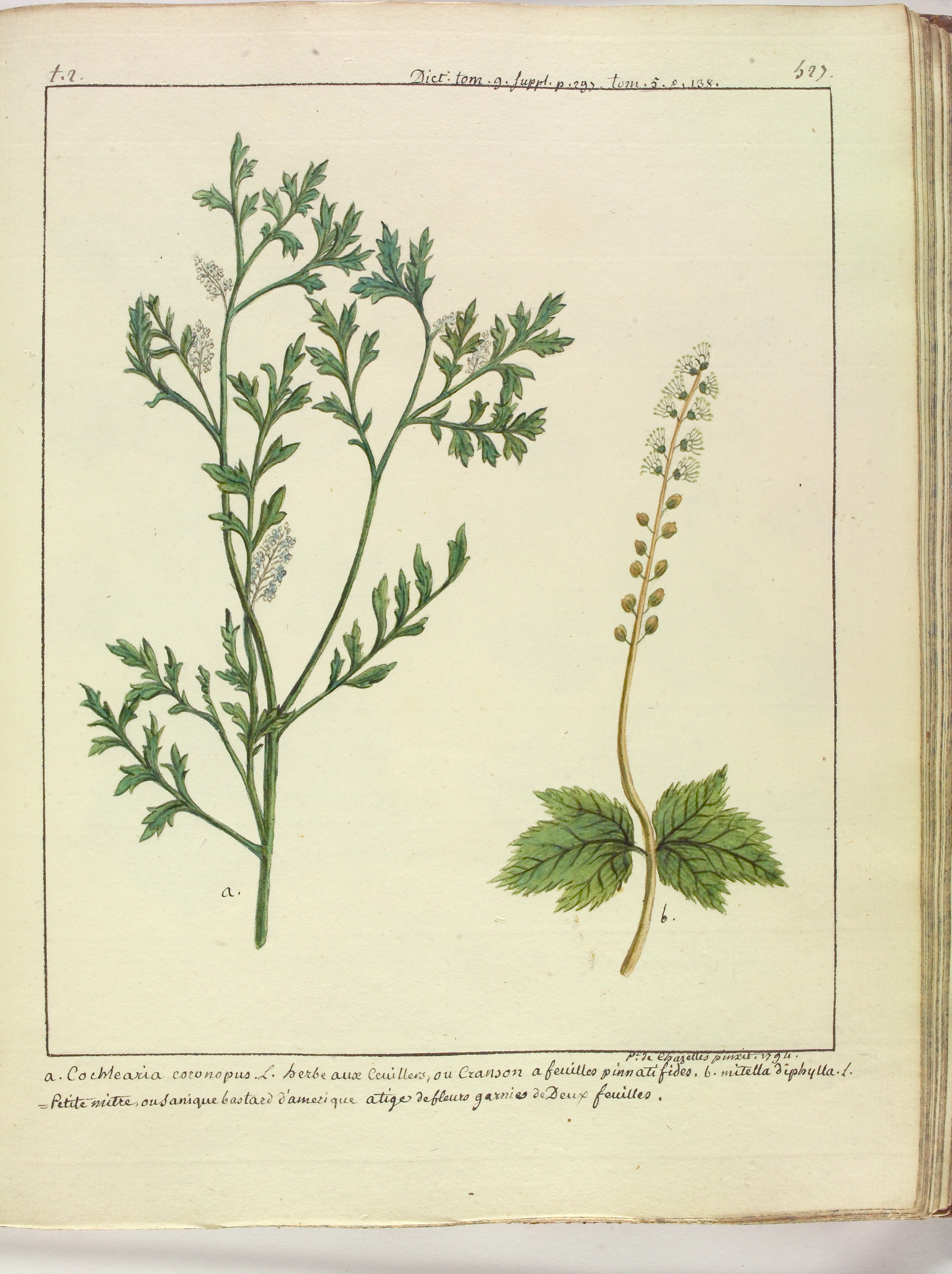 no full size  illustration available (3a)