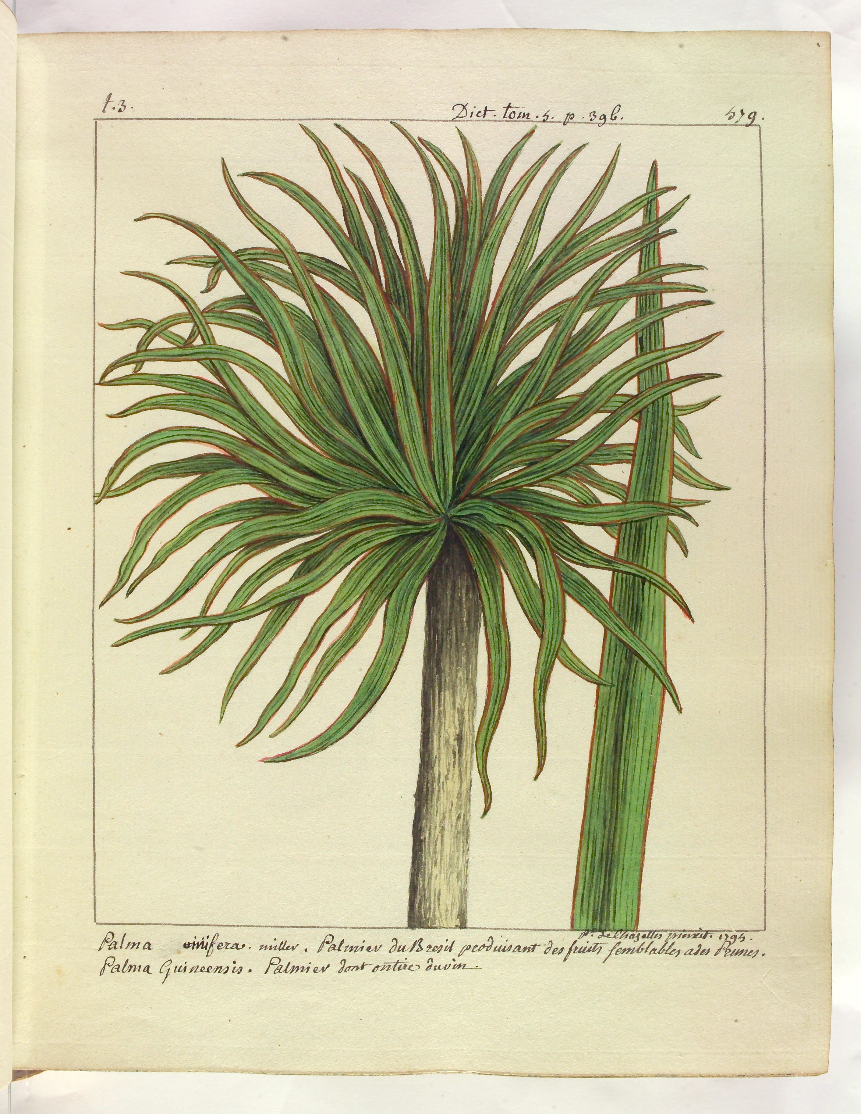 no full size  illustration available (3a)