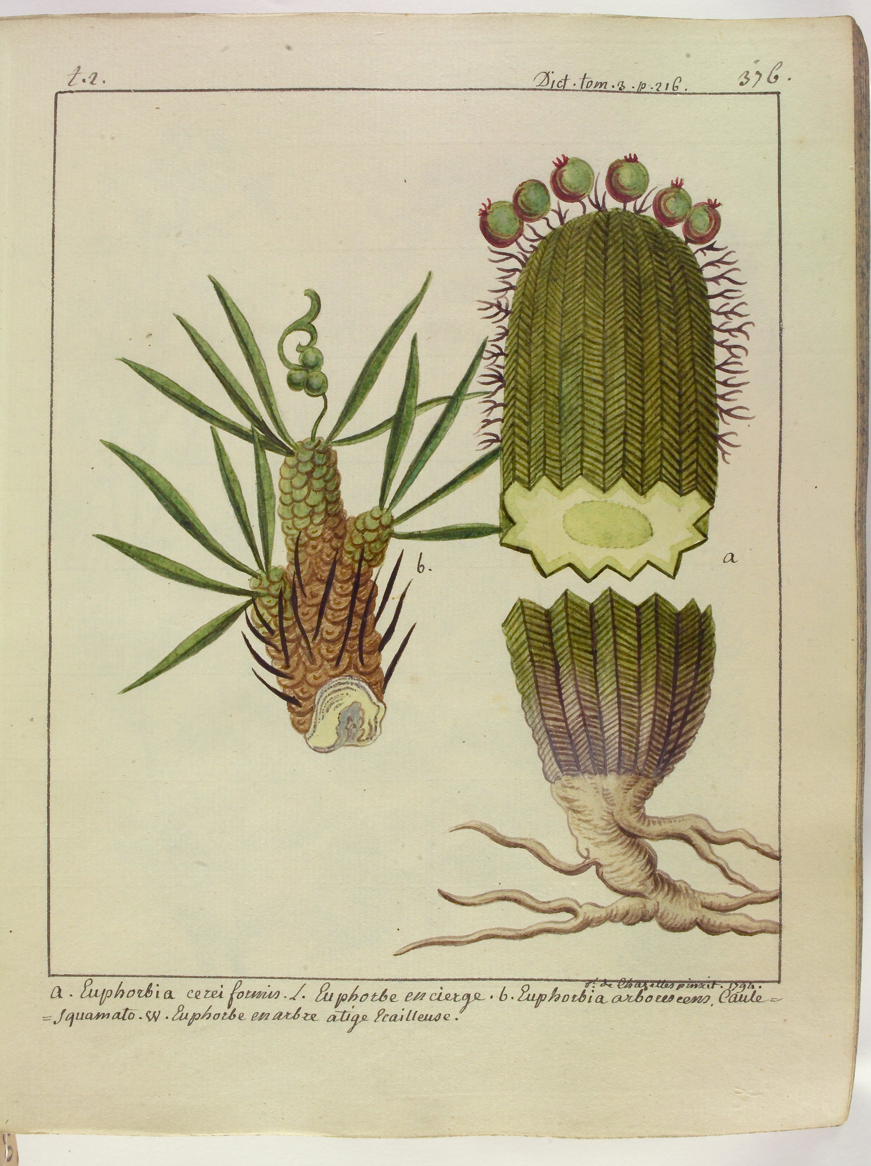 no full size  illustration available (3a)