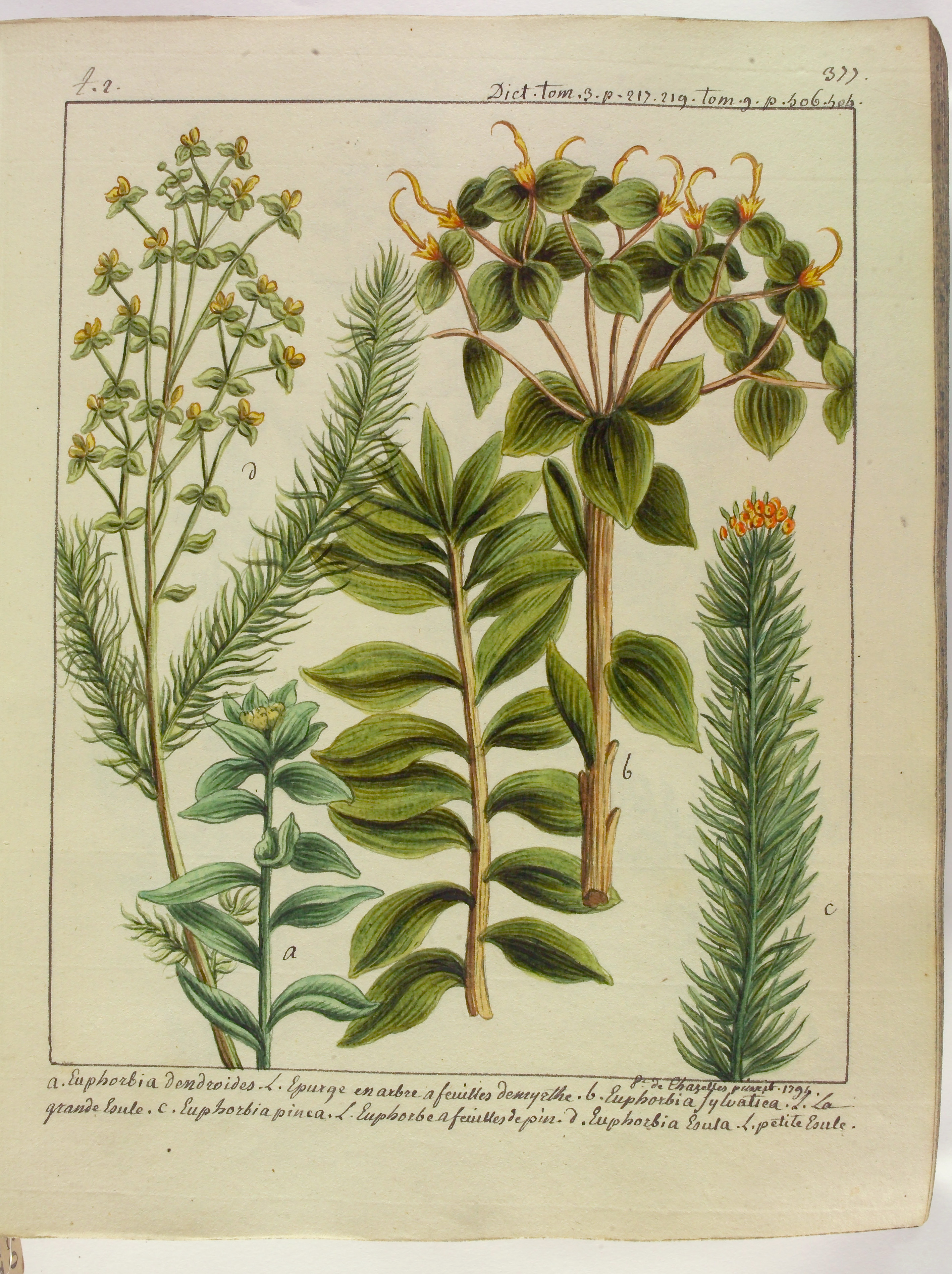 no full size  illustration available (3a)