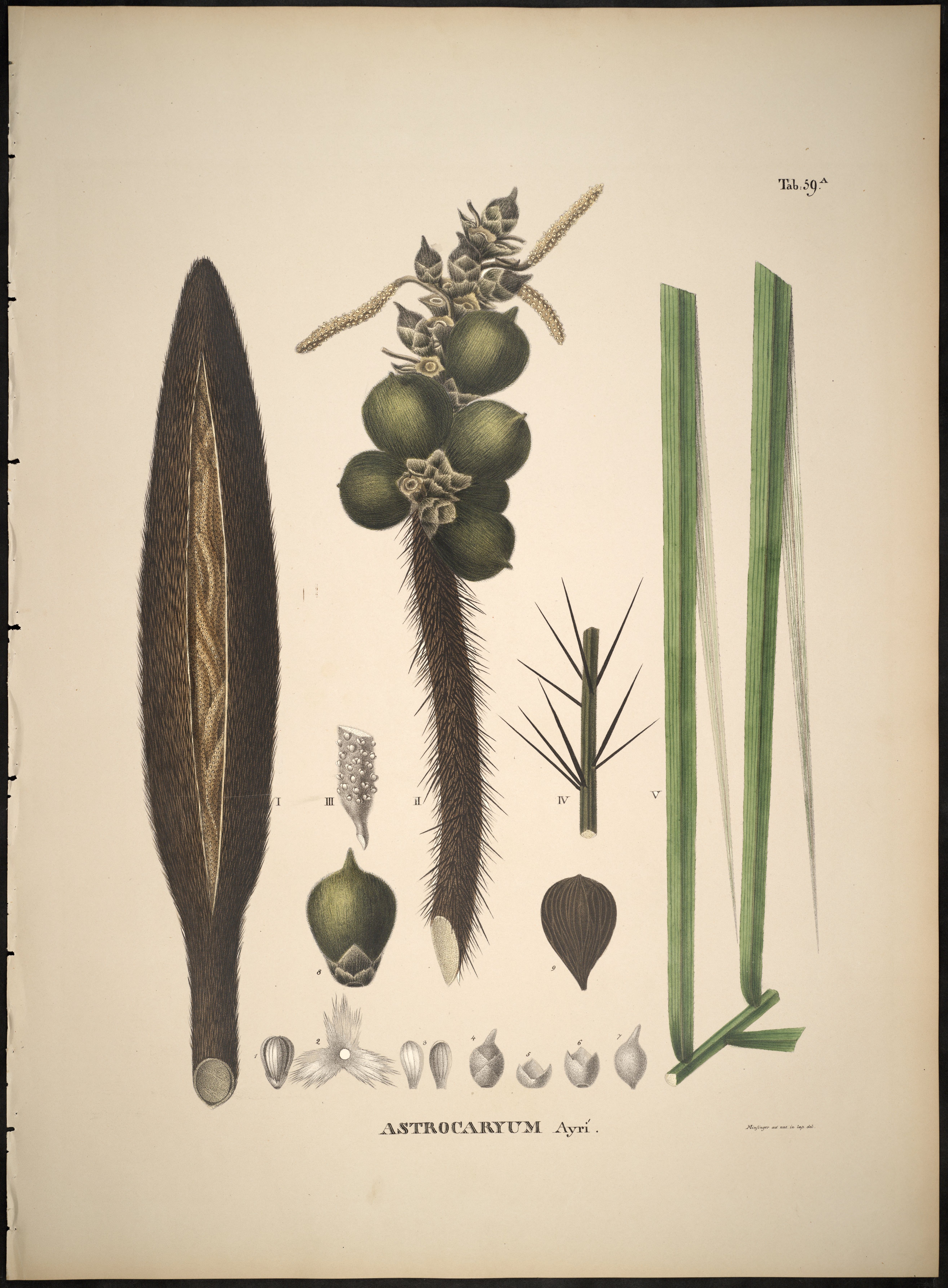 no full size  illustration available (3a)