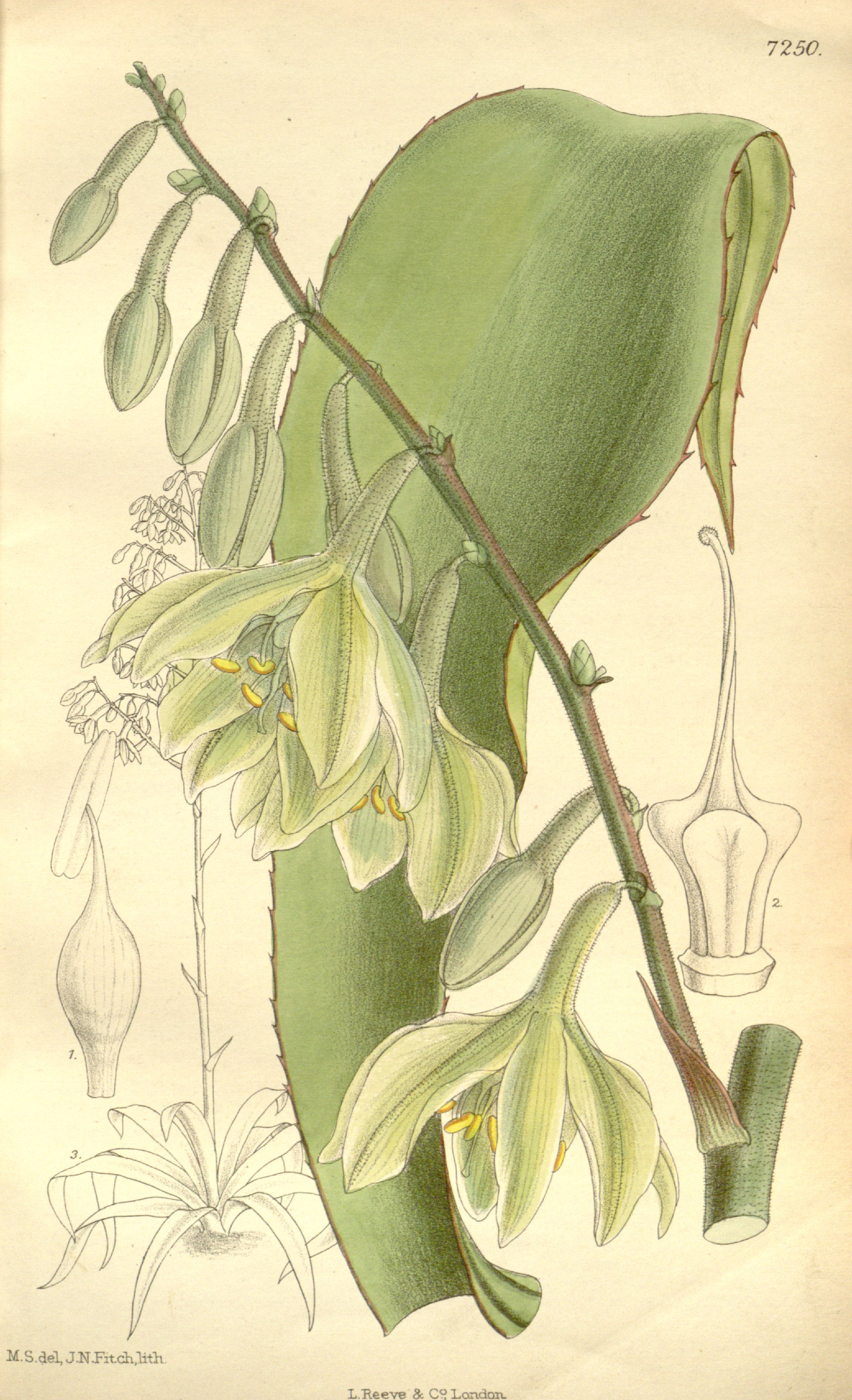 no full size  illustration available (3a)