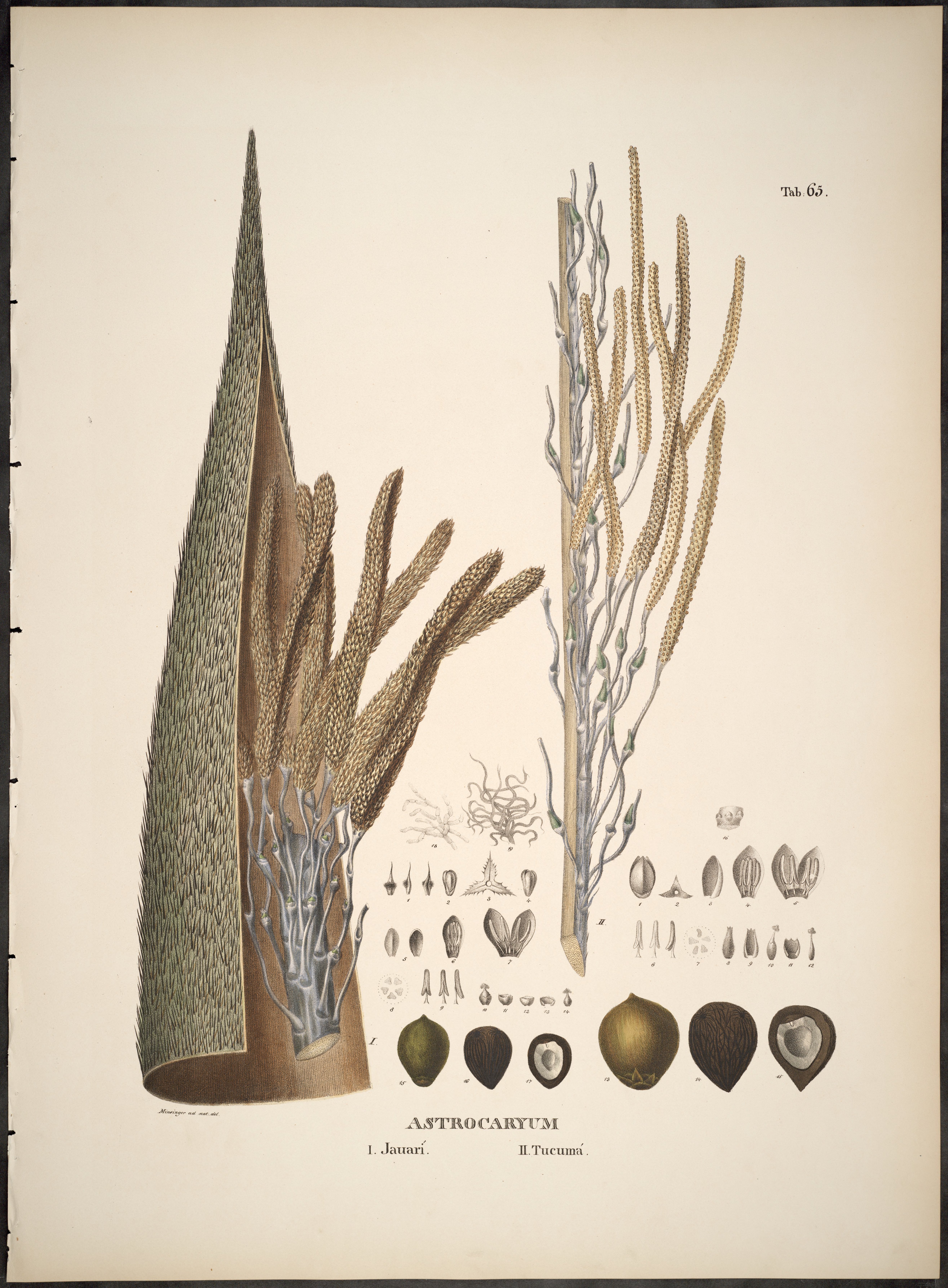 no full size  illustration available (3a)