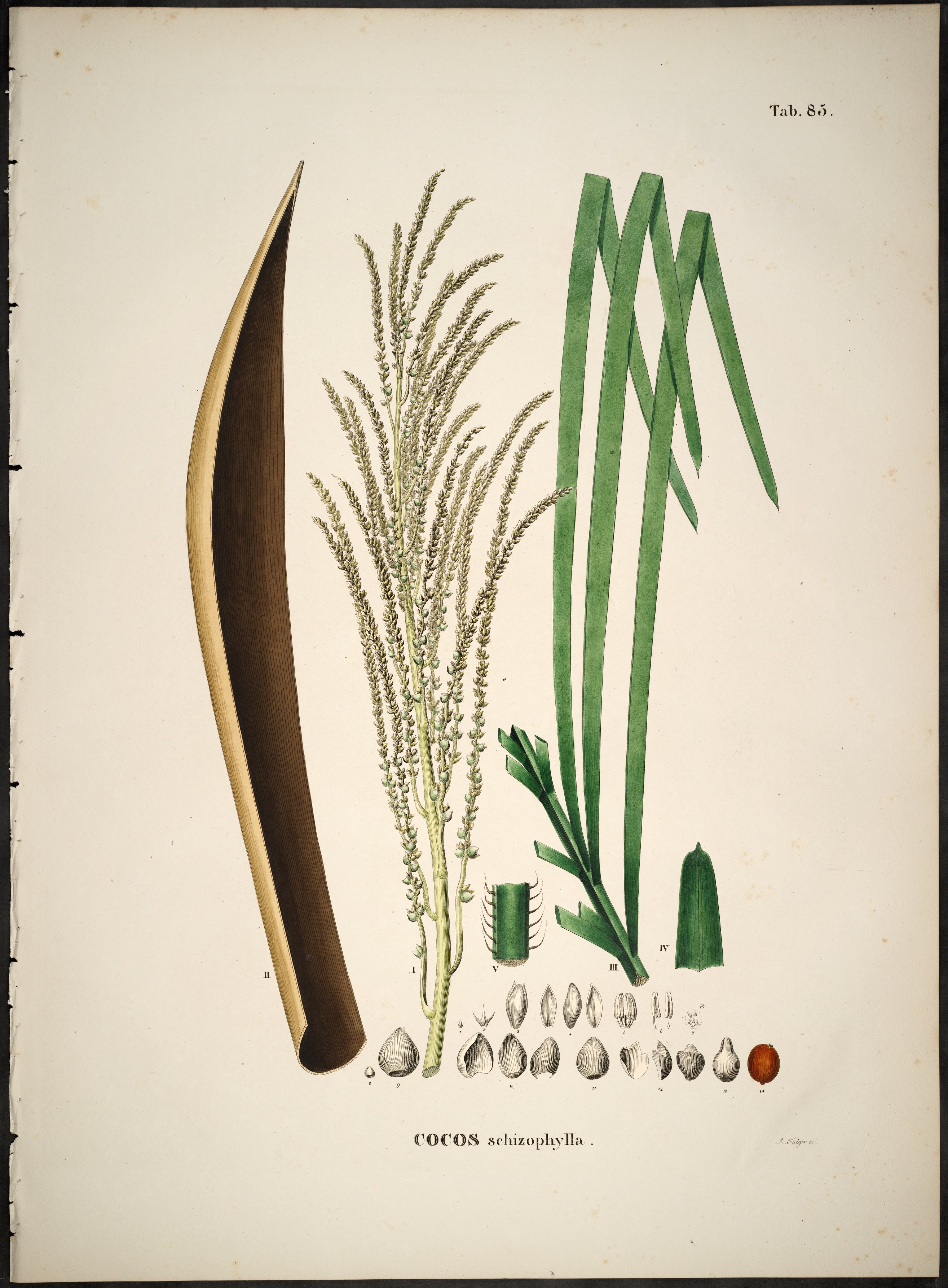 no full size  illustration available (3a)