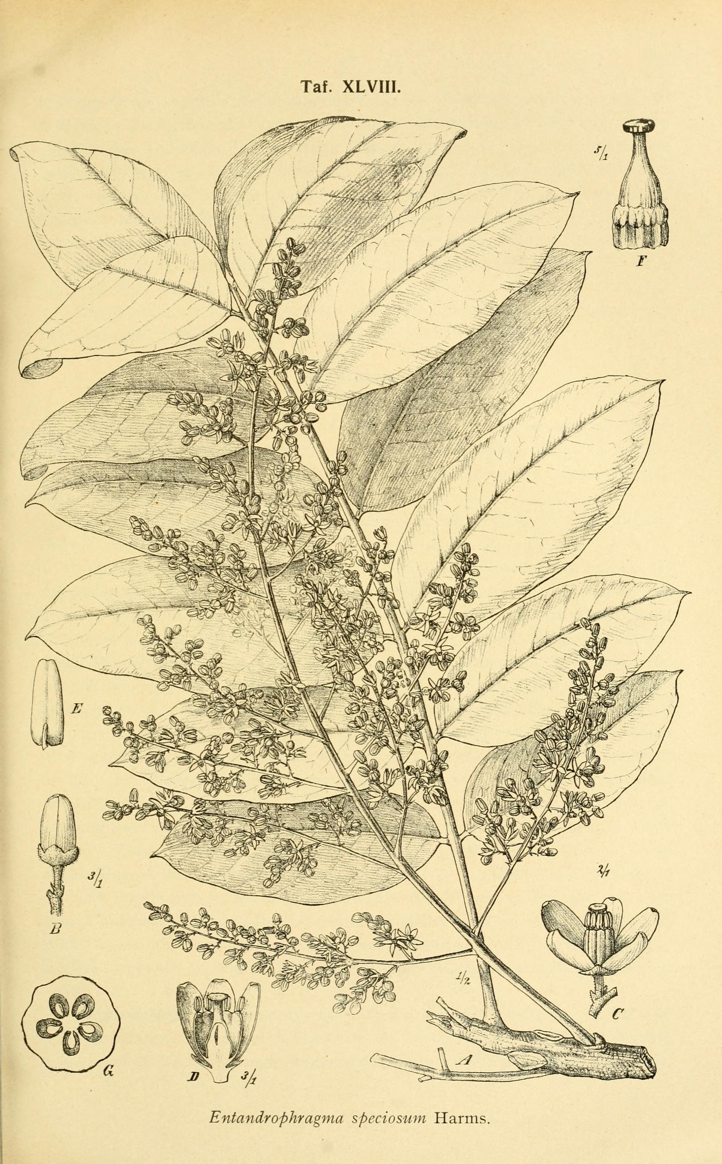 no full size  illustration available (3a)