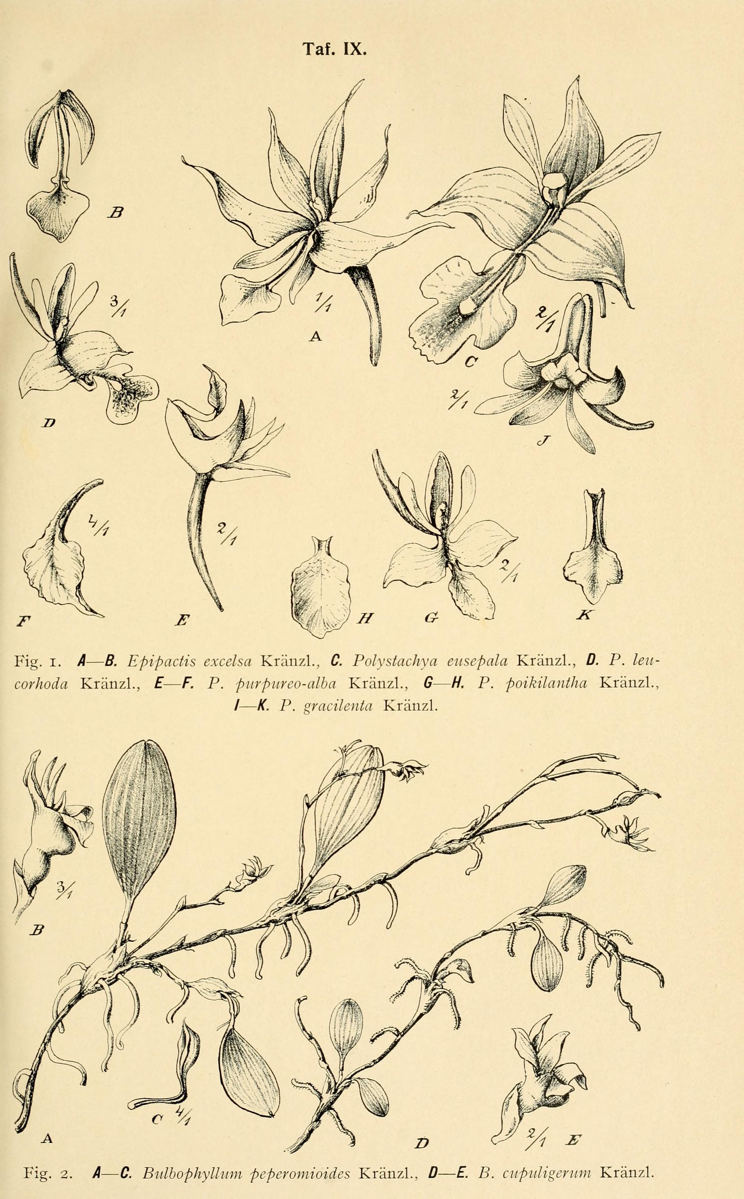 no full size  illustration available (3a)