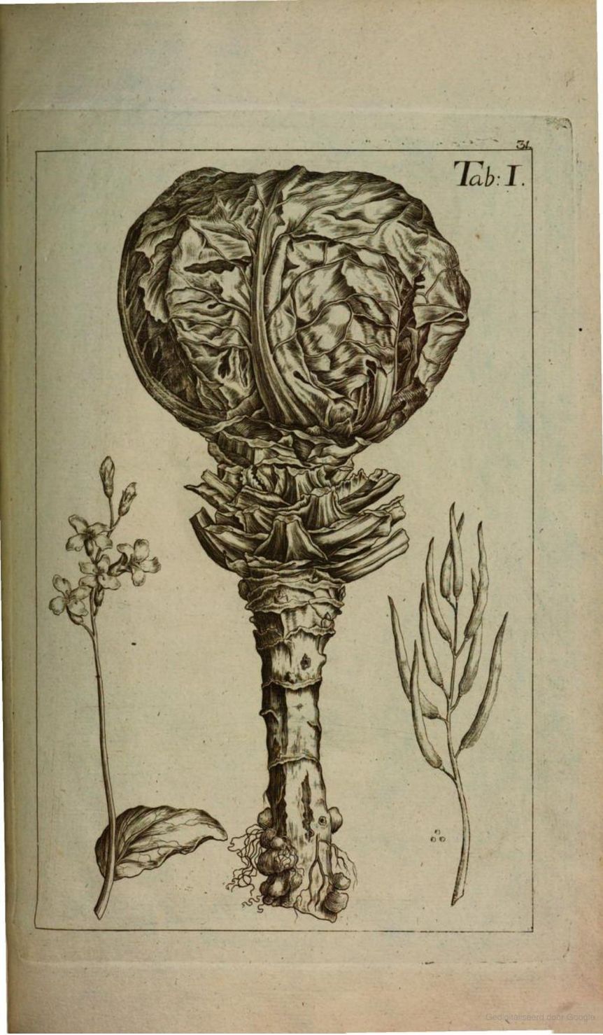 no full size  illustration available (3a)