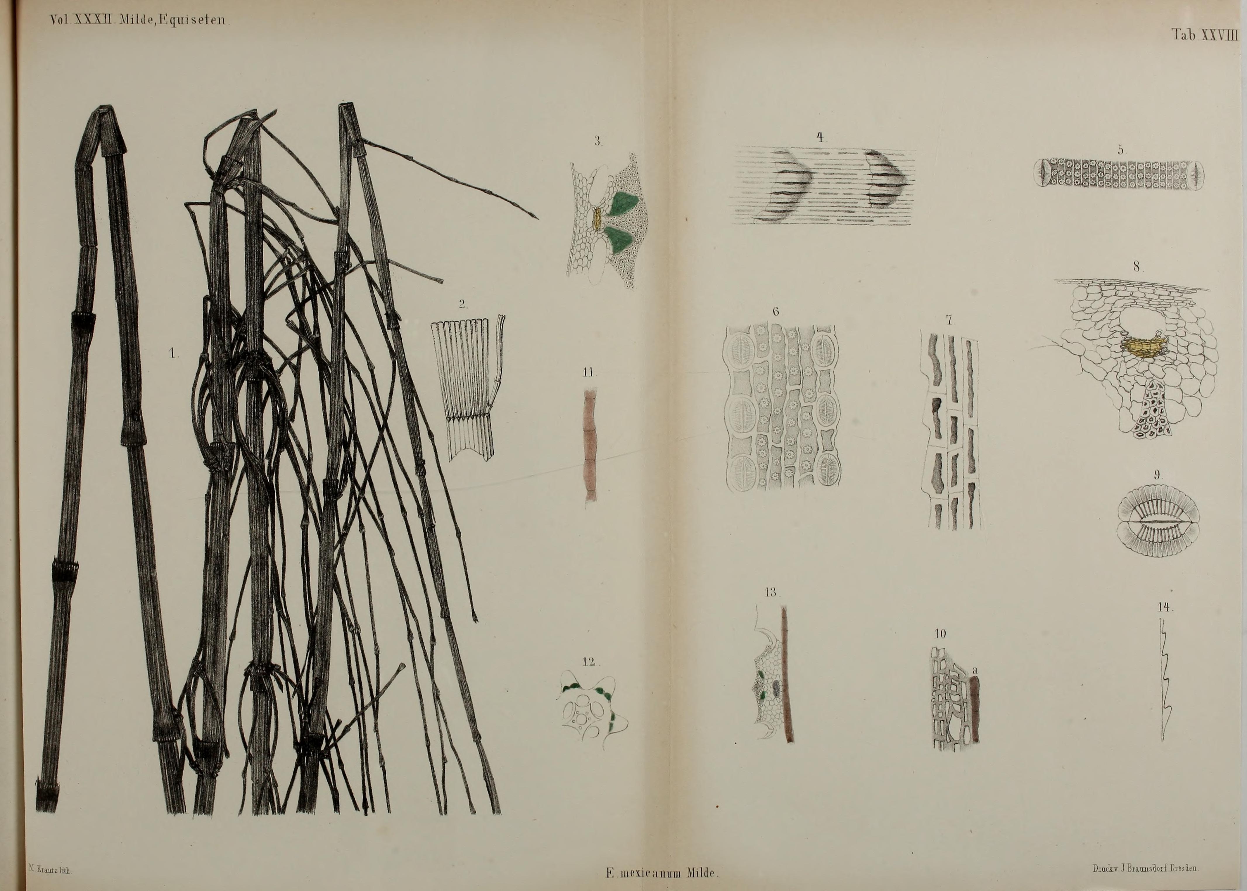 no full size  illustration available (3a)