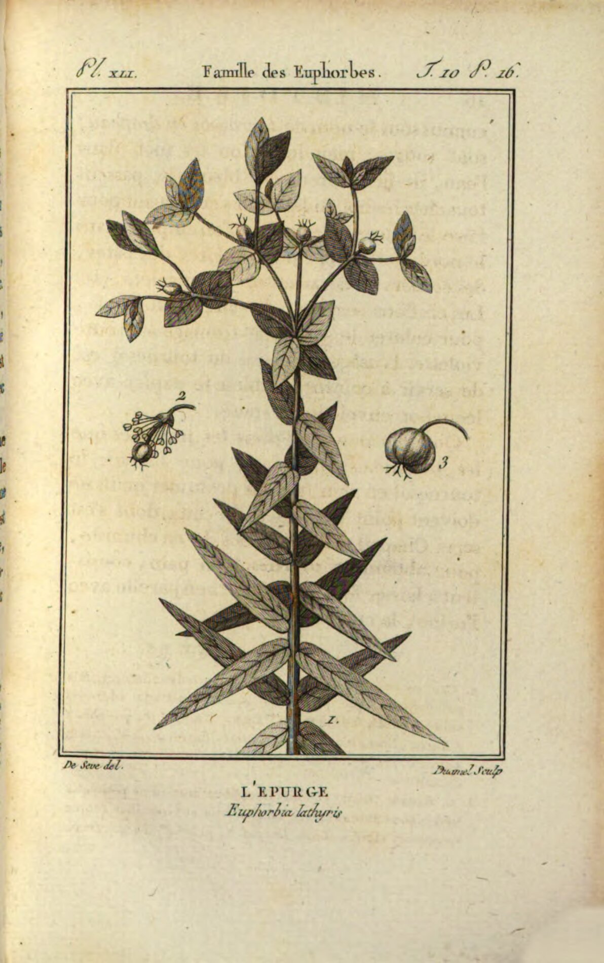 no full size  illustration available (3a)