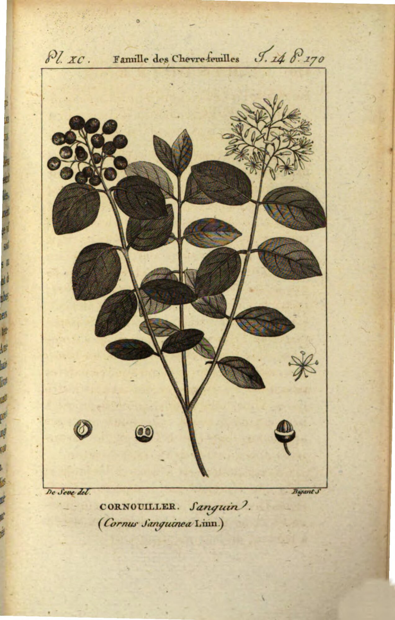 no full size  illustration available (3a)