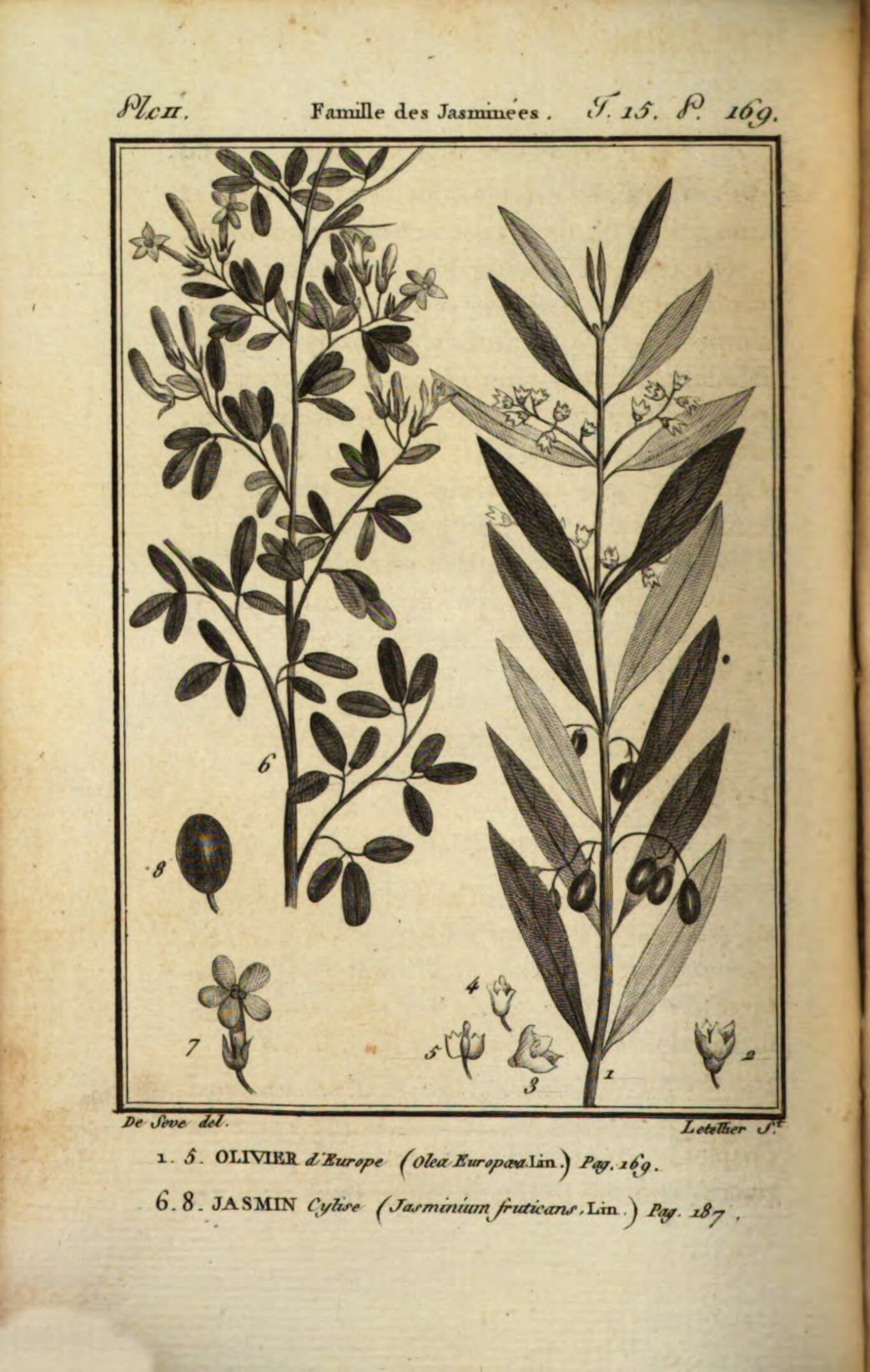 no full size  illustration available (3a)