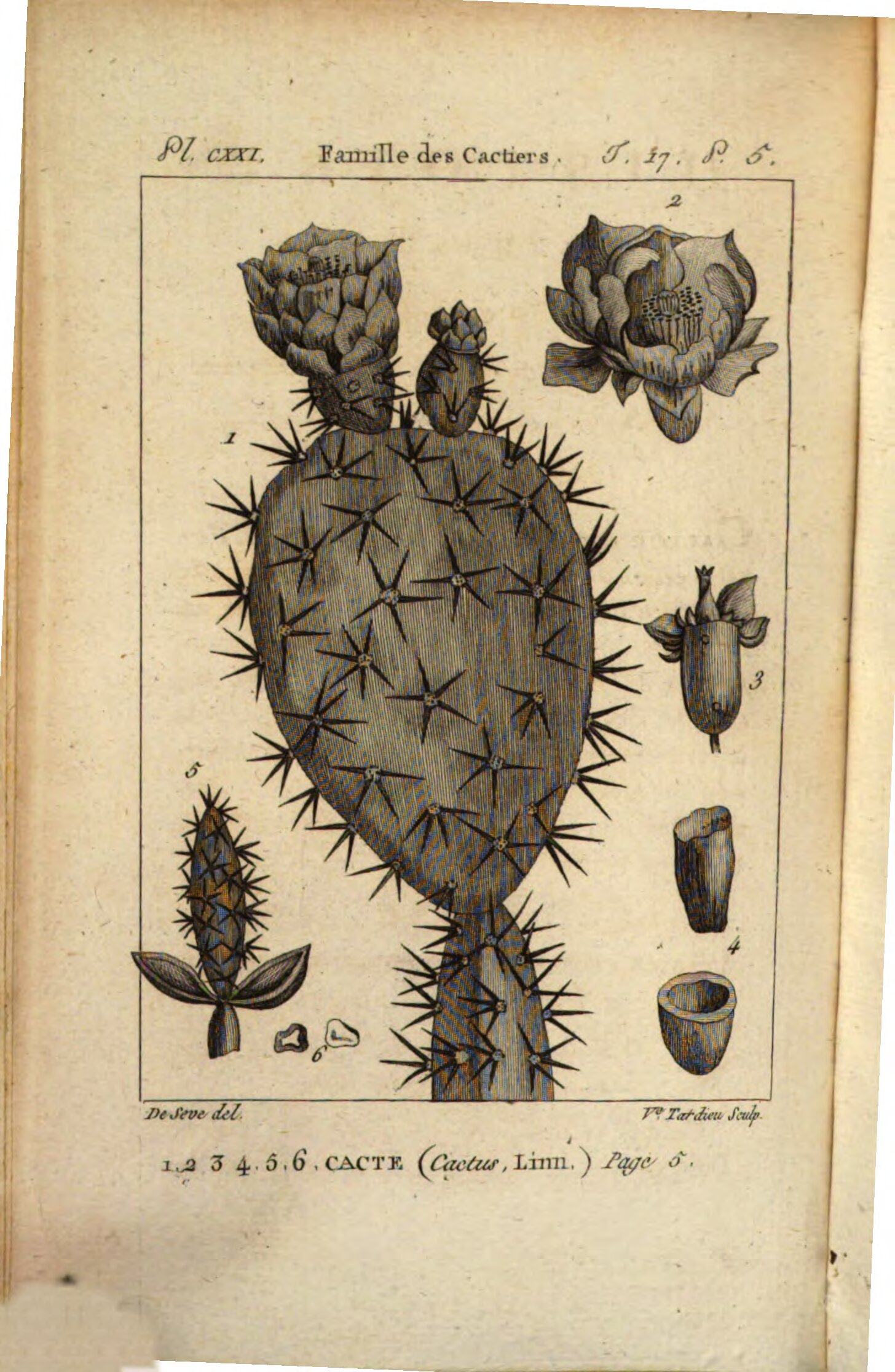 no full size  illustration available (3a)