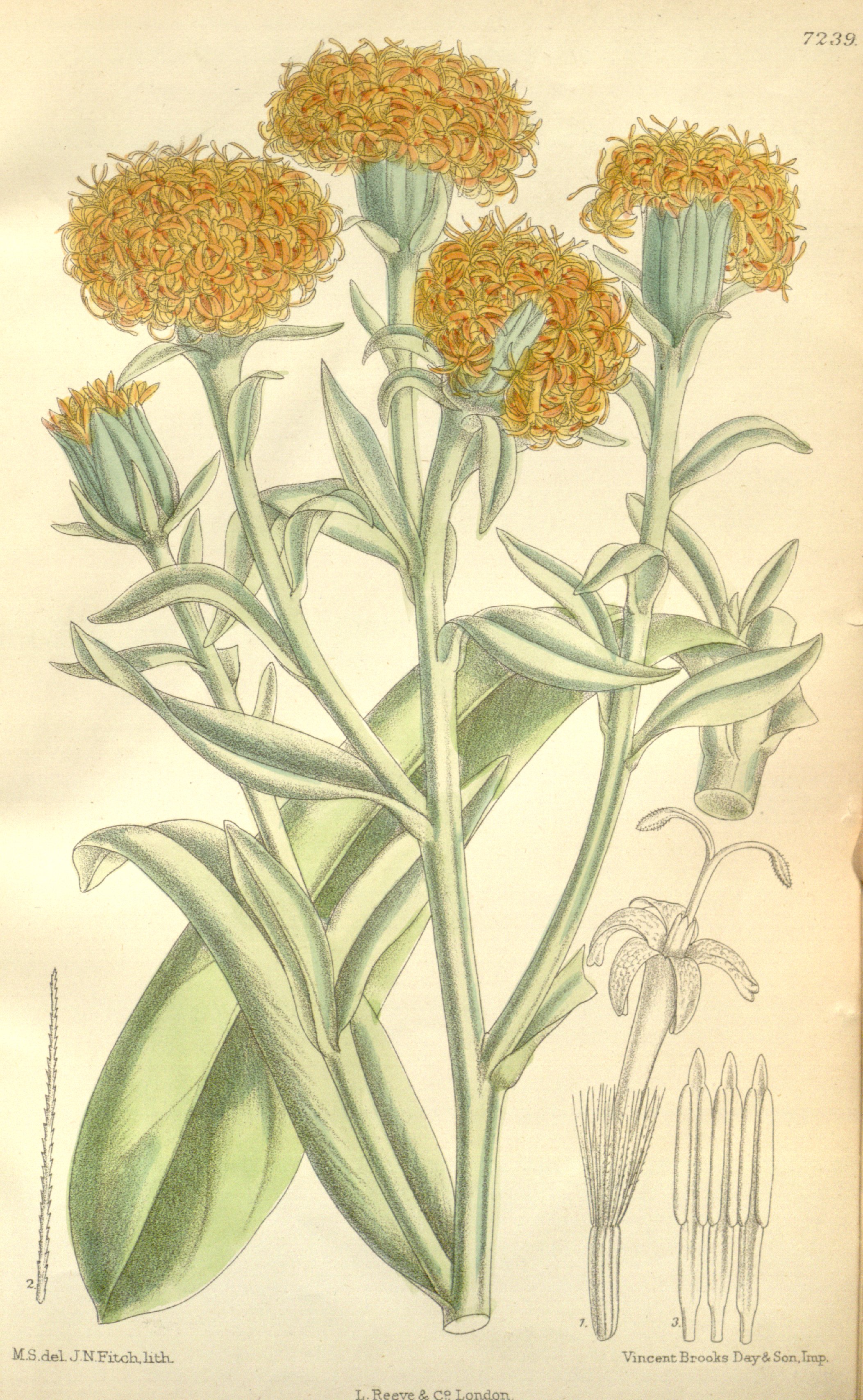 no full size  illustration available (3a)