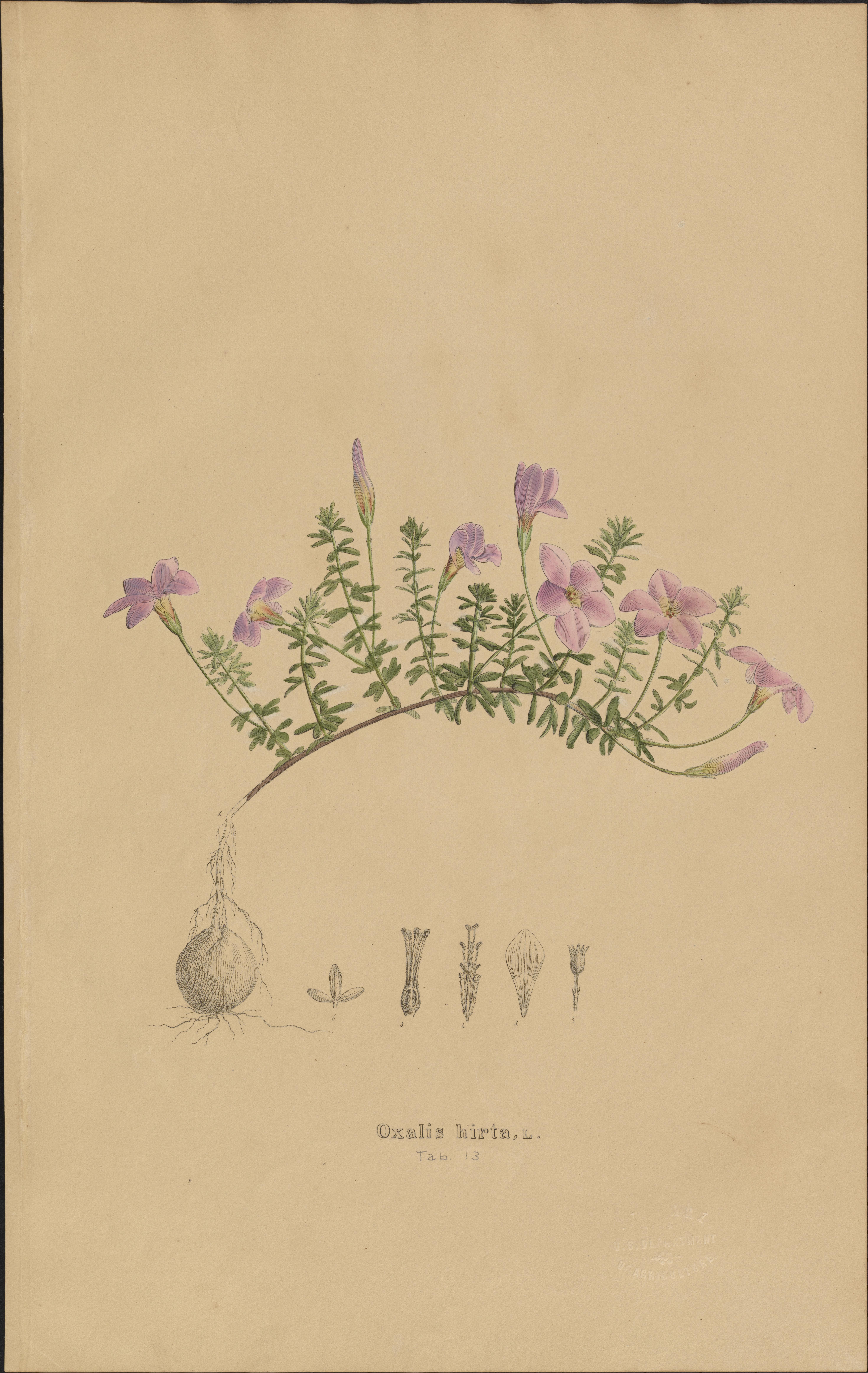 no full size  illustration available (3a)