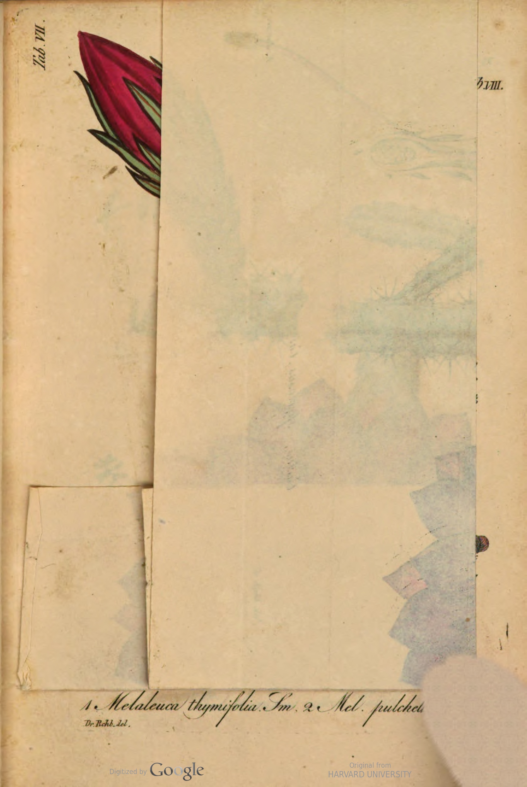 no full size  illustration available (3a)