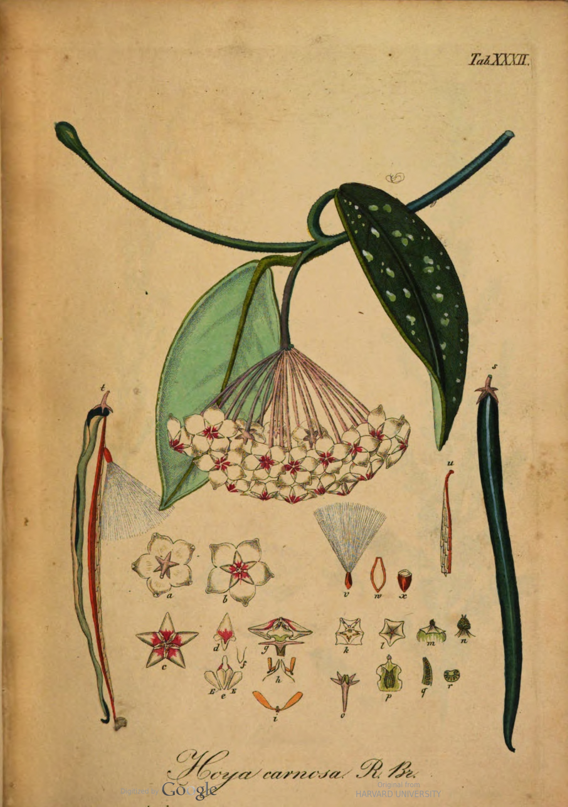 no full size  illustration available (3a)