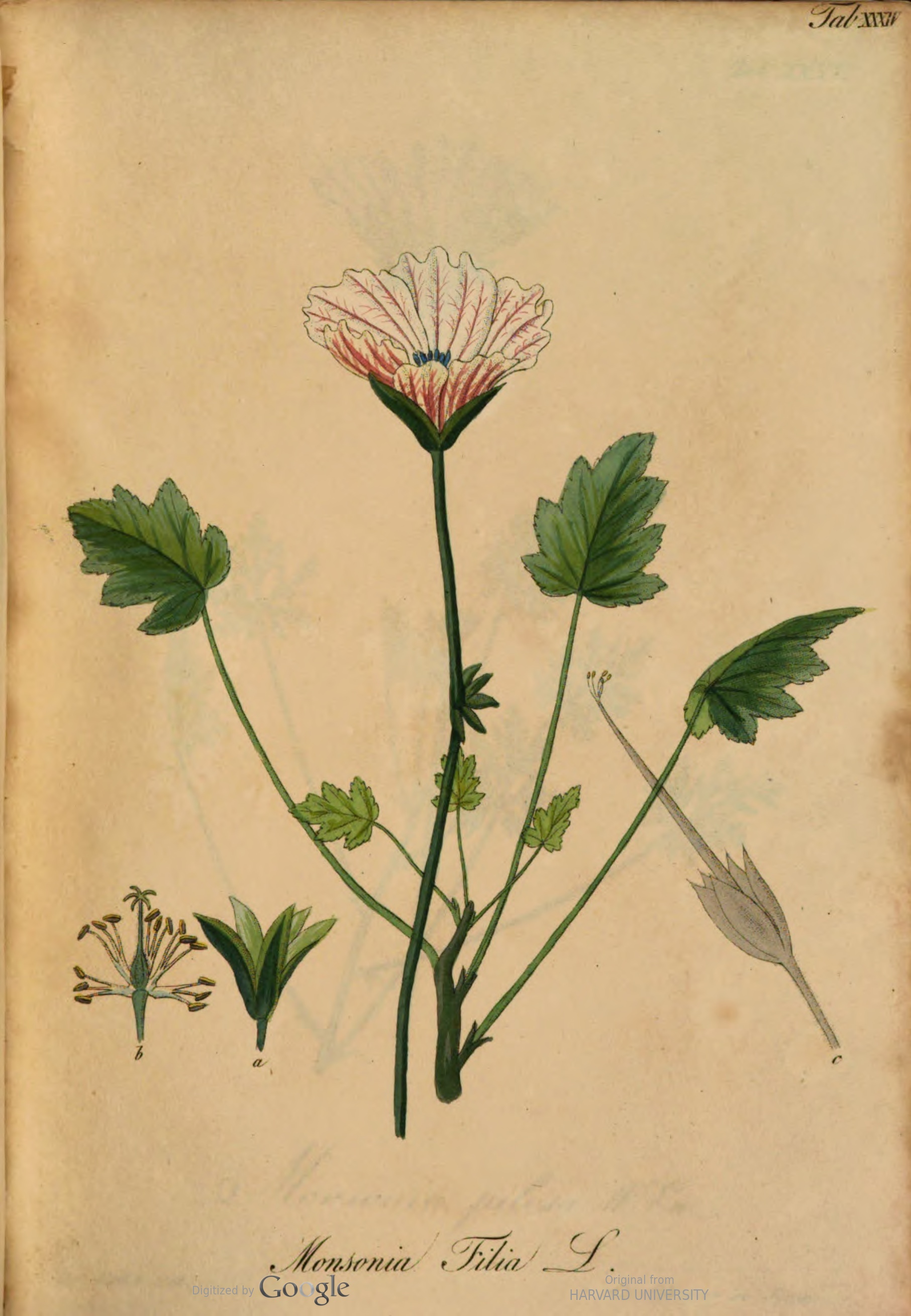 no full size  illustration available (3a)