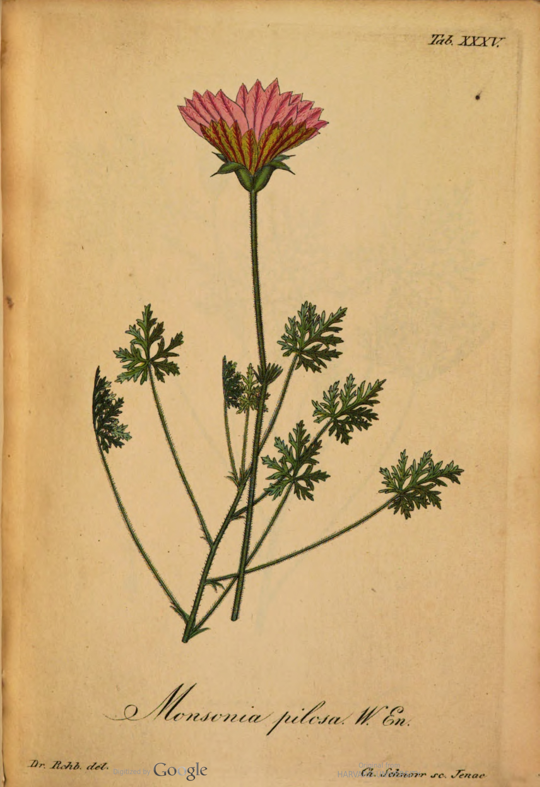 no full size  illustration available (3a)