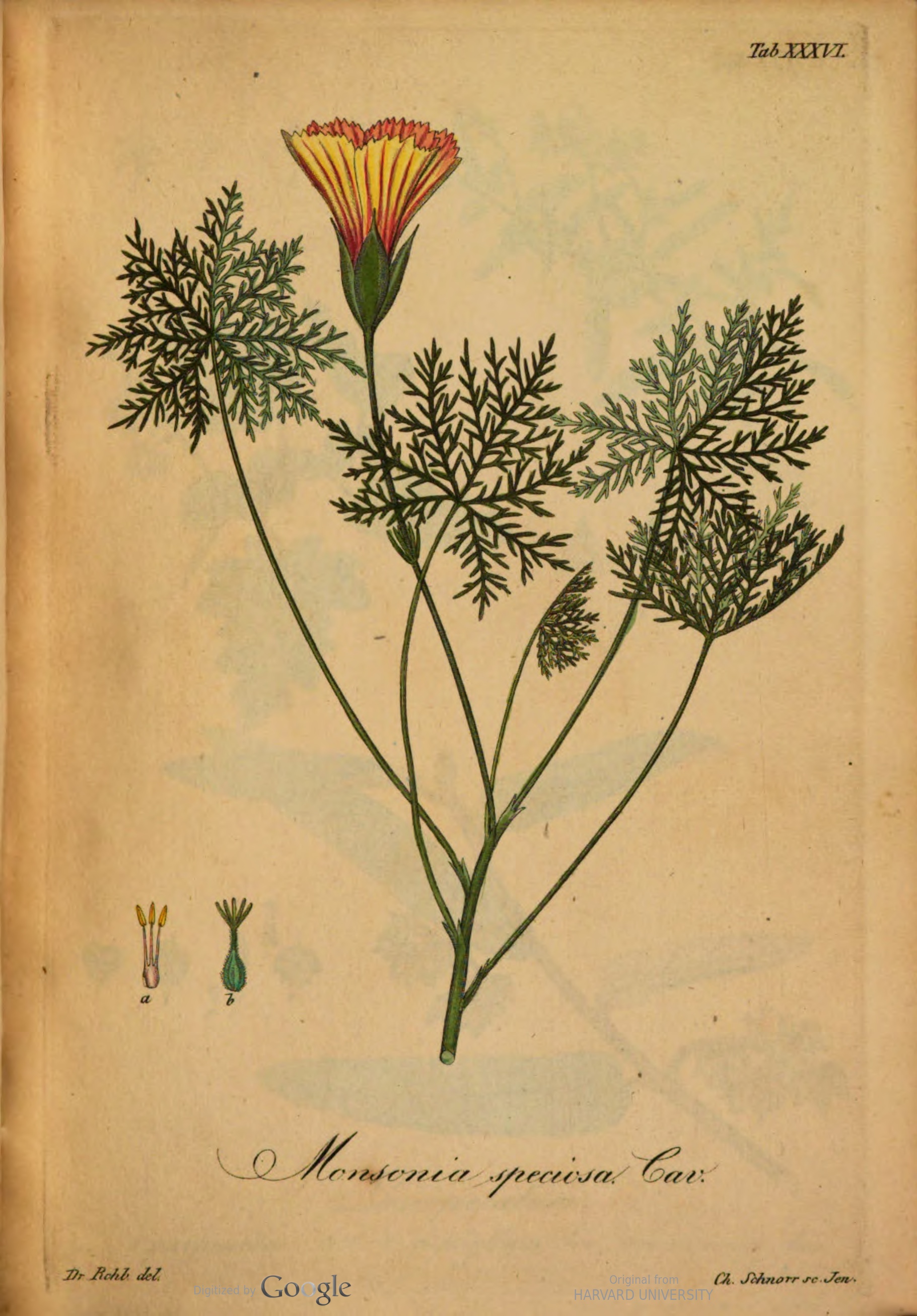 no full size  illustration available (3a)