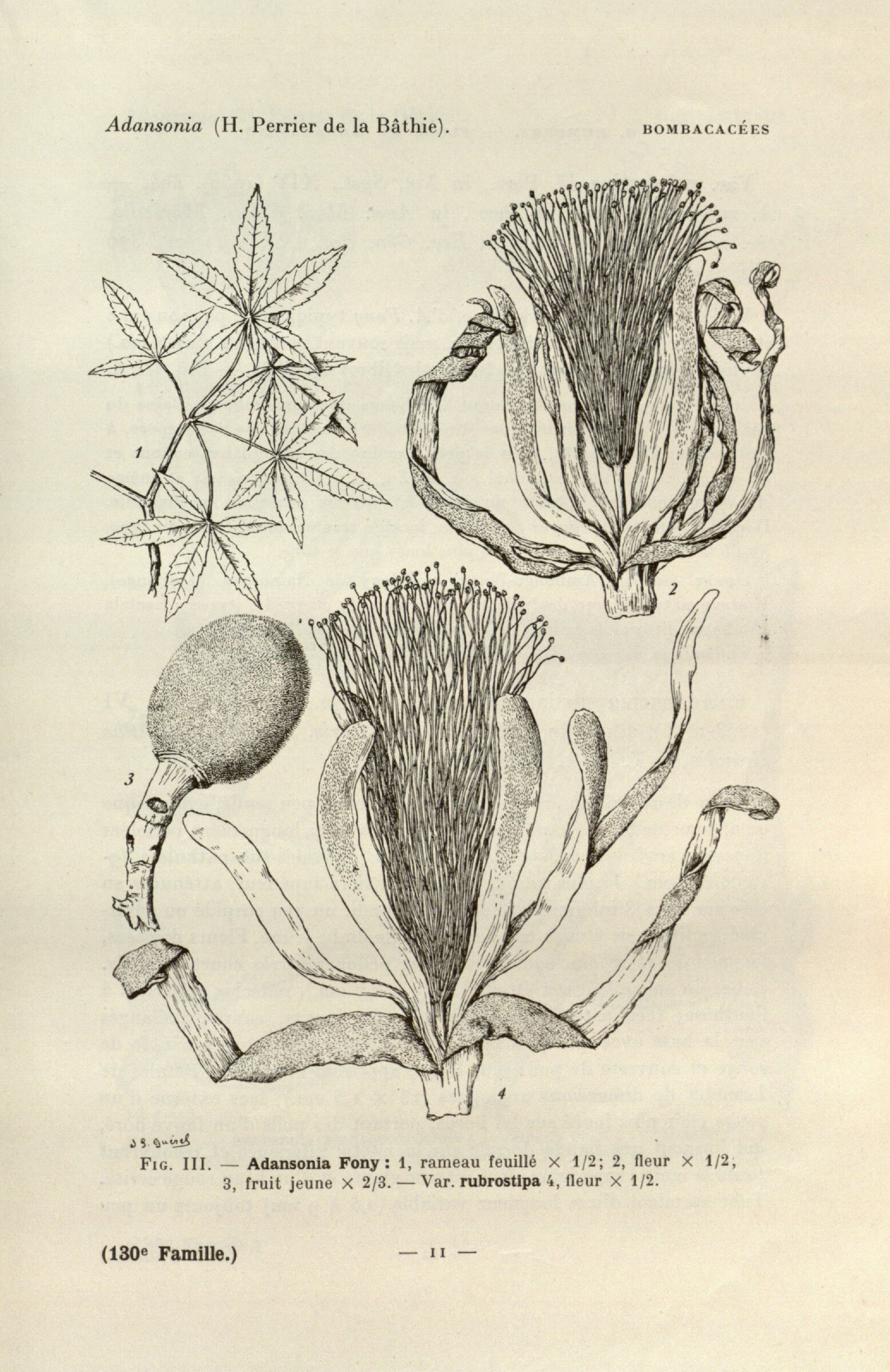 no full size  illustration available (3a)