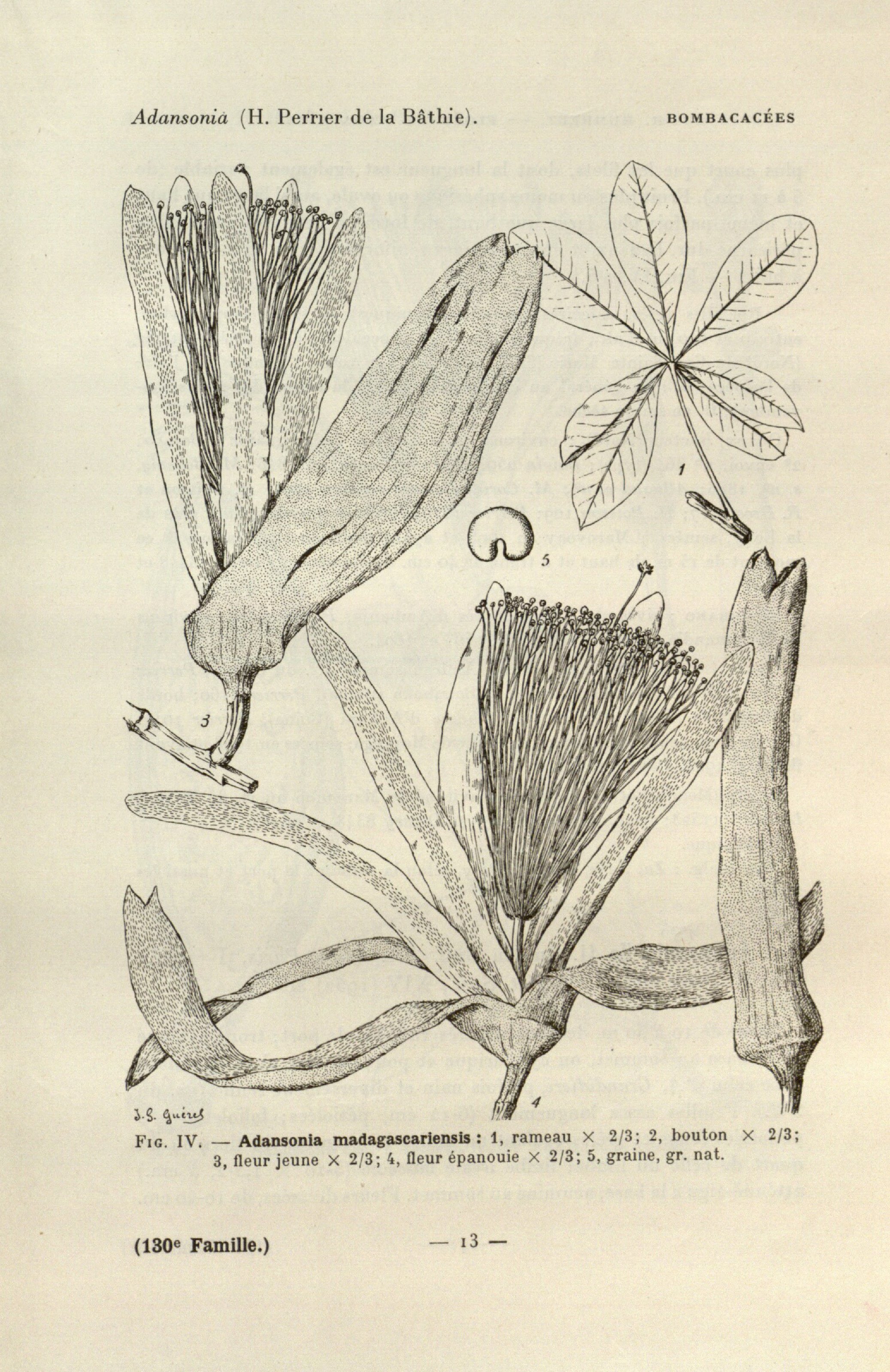 no full size  illustration available (3a)