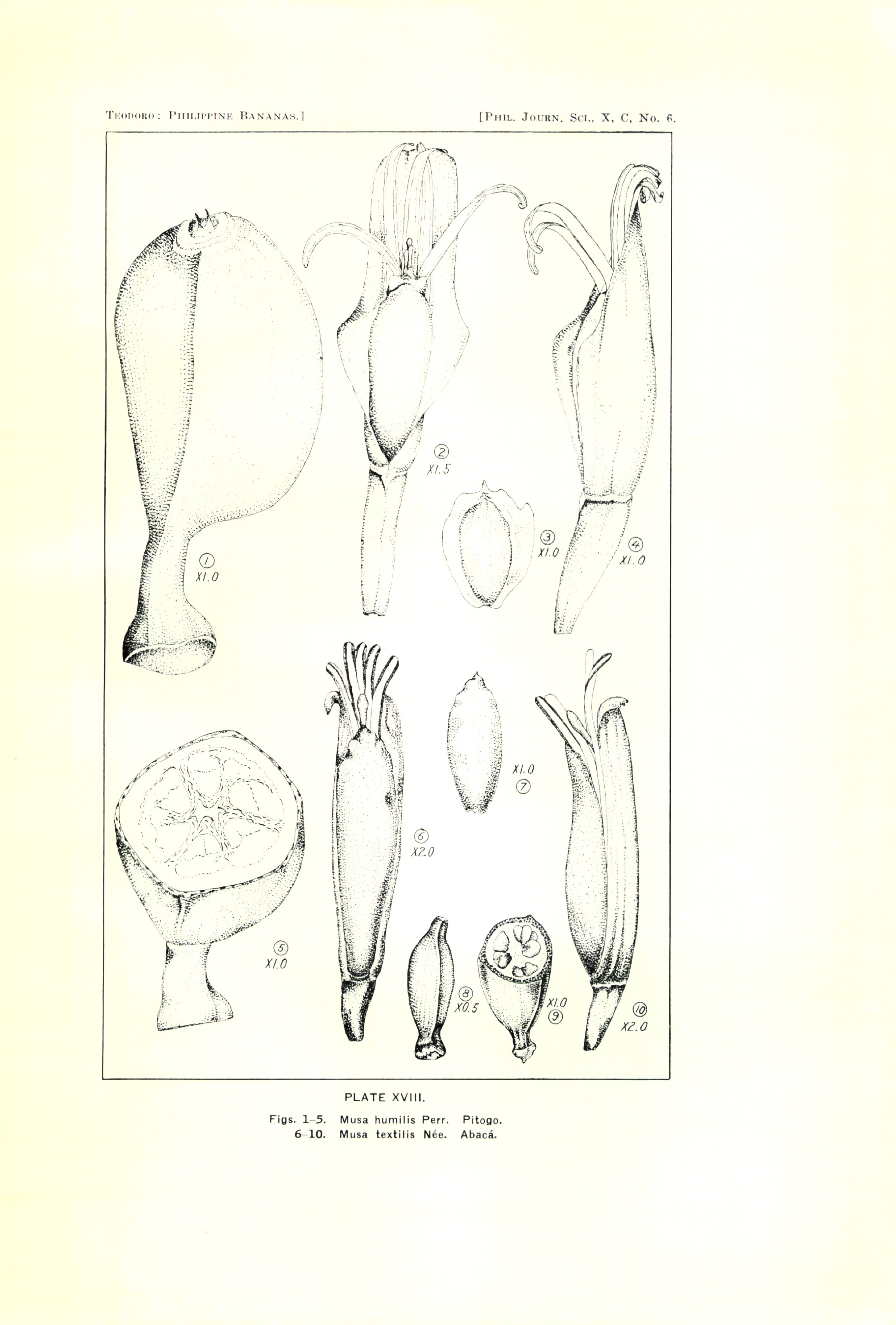 no full size  illustration available (3a)