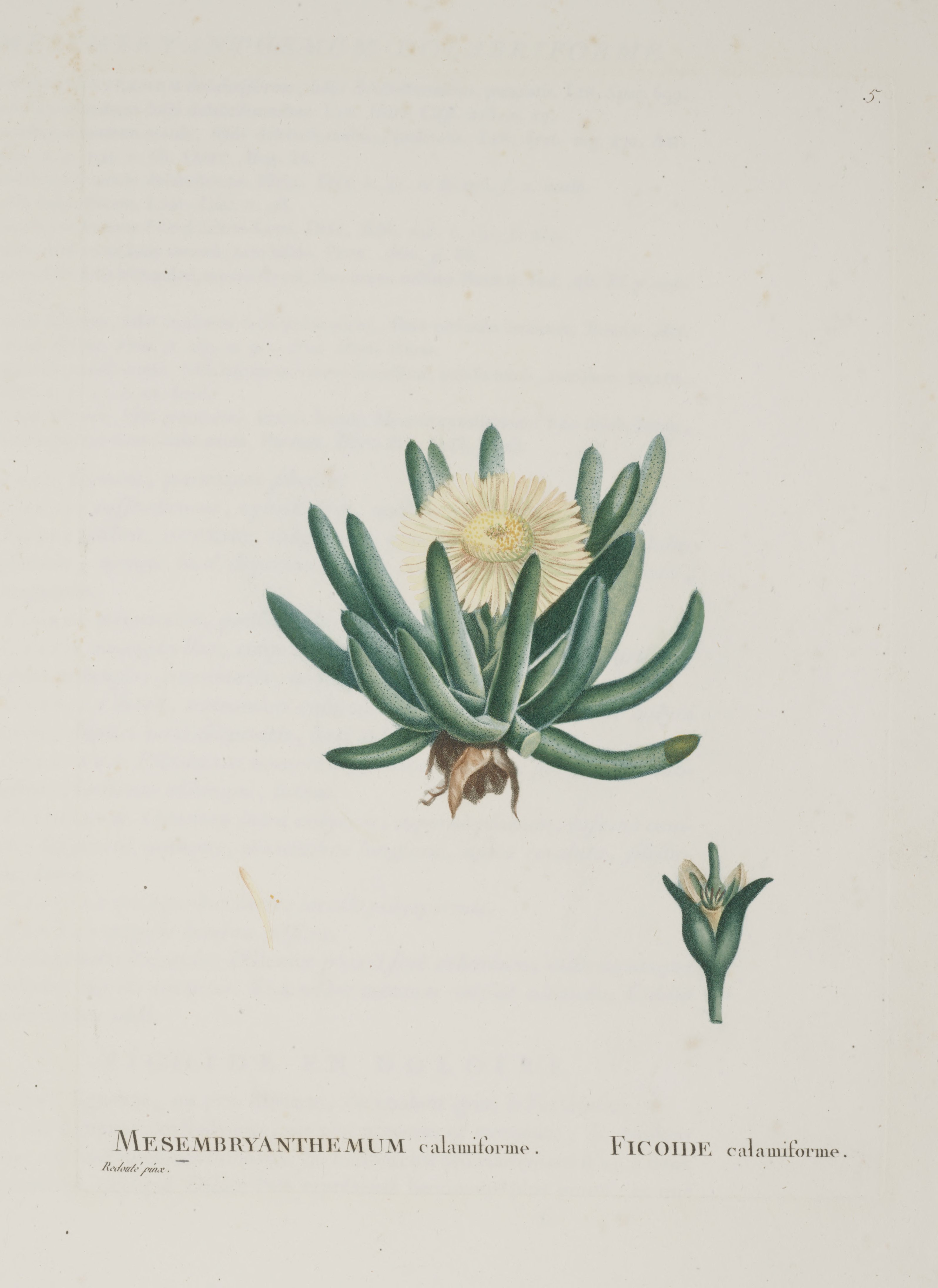 no full size  illustration available (3a)