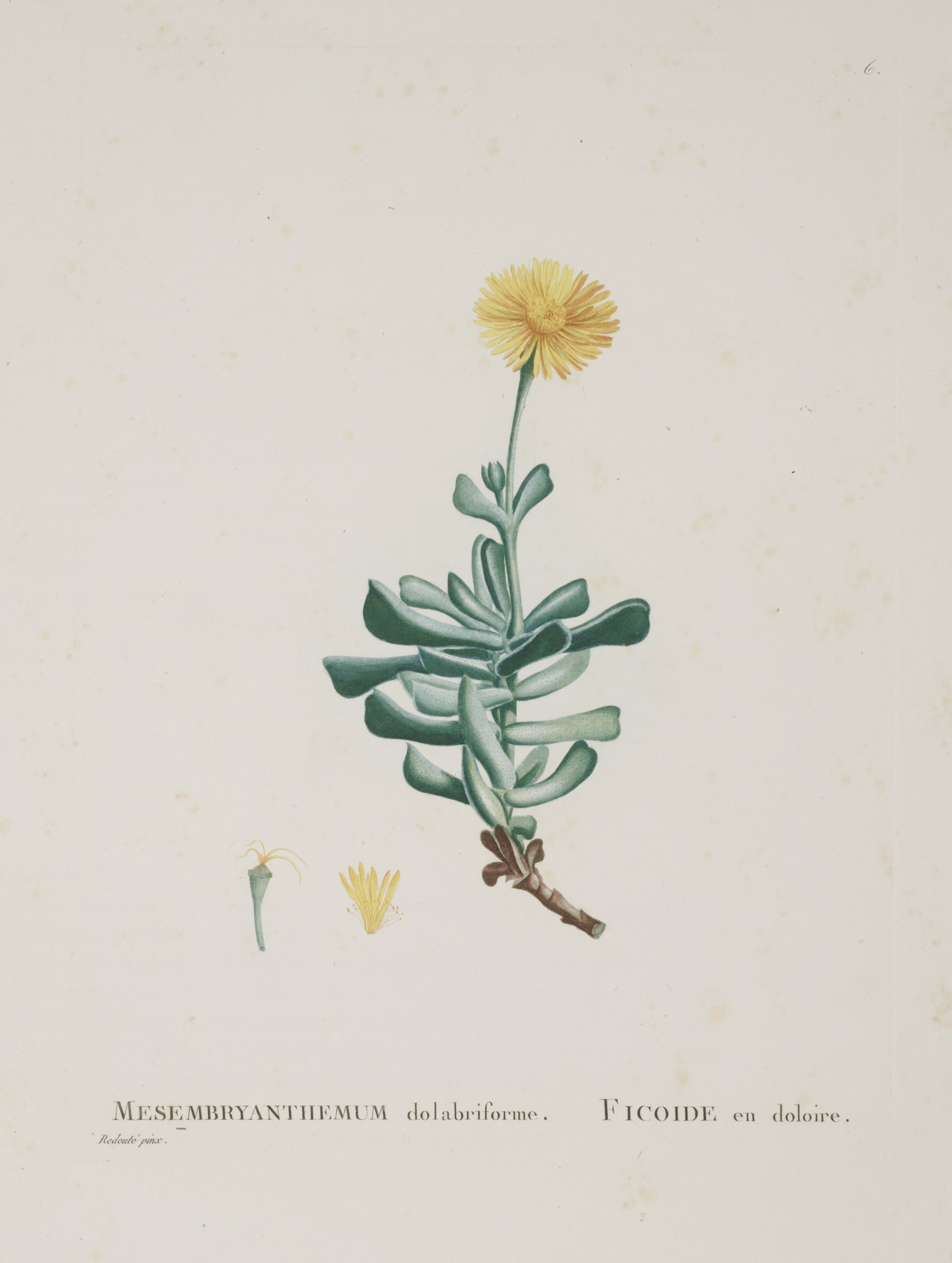 no full size  illustration available (3a)